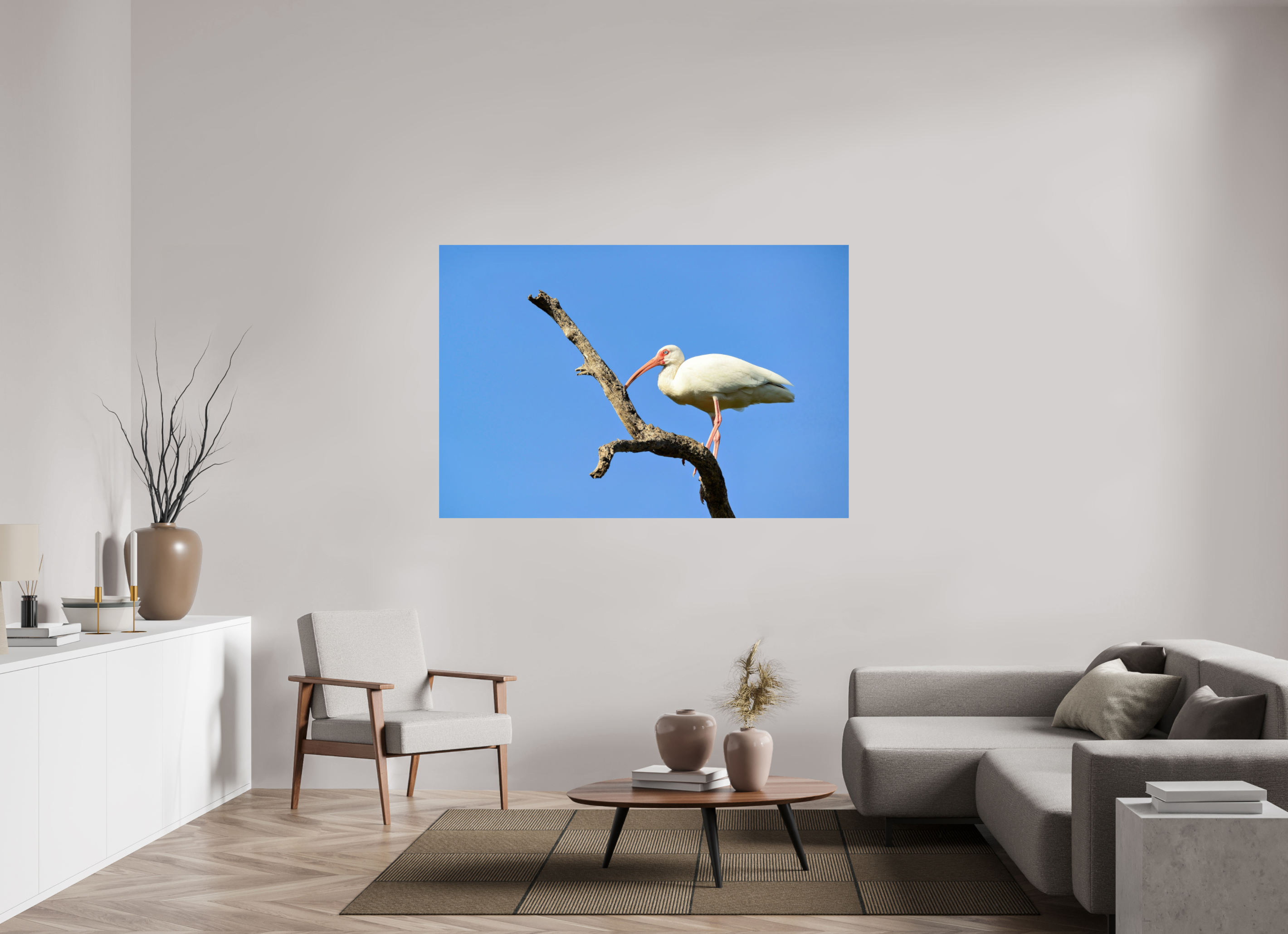 66 x 44″, Photo Print On Fuji Crystal DP II Azure Solitude: The American White Ibis