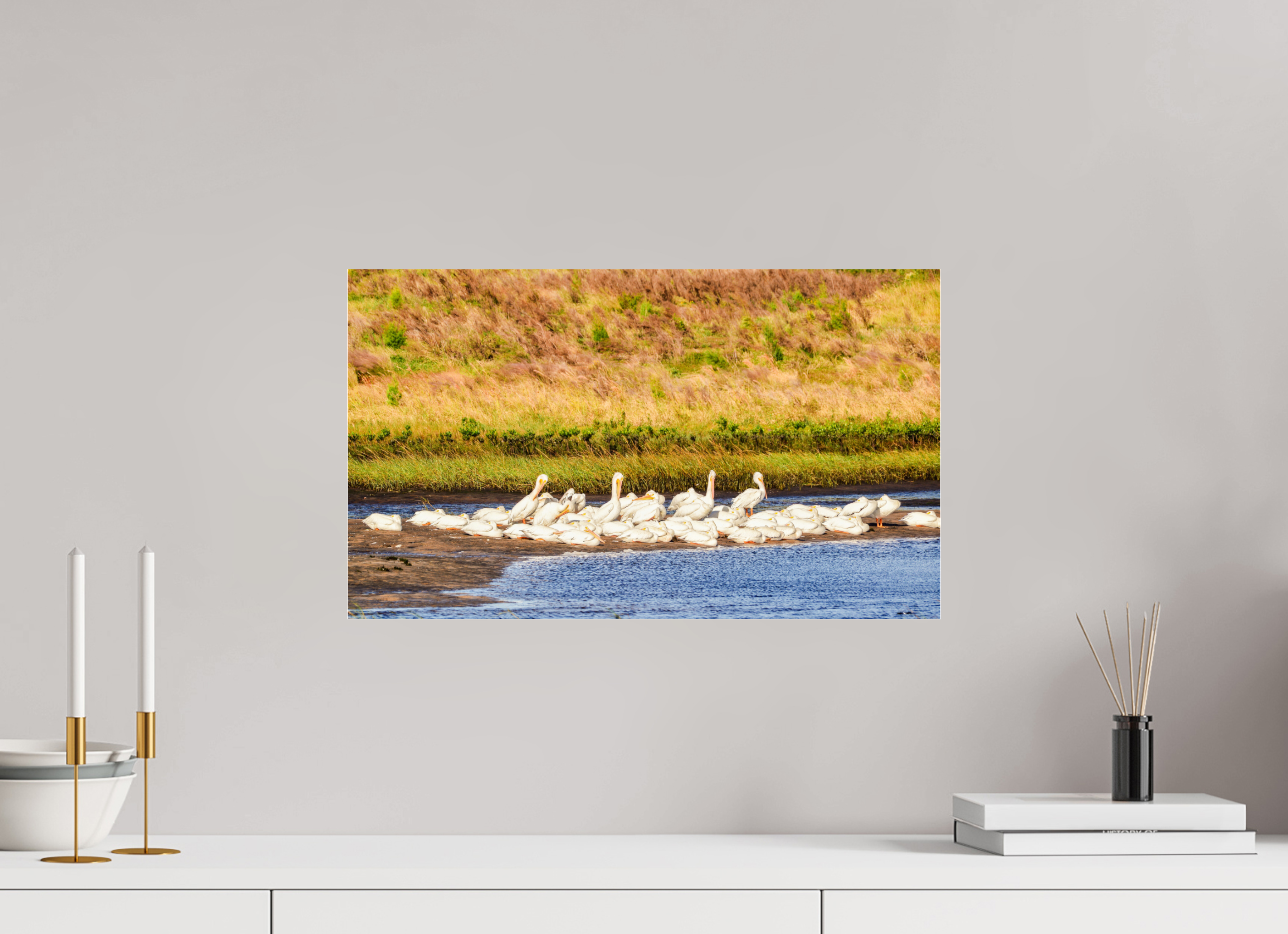 20.4 x 12″, Metallic Photo Print Under Acrylic Glass White Pelicans Golden Hour Gathering