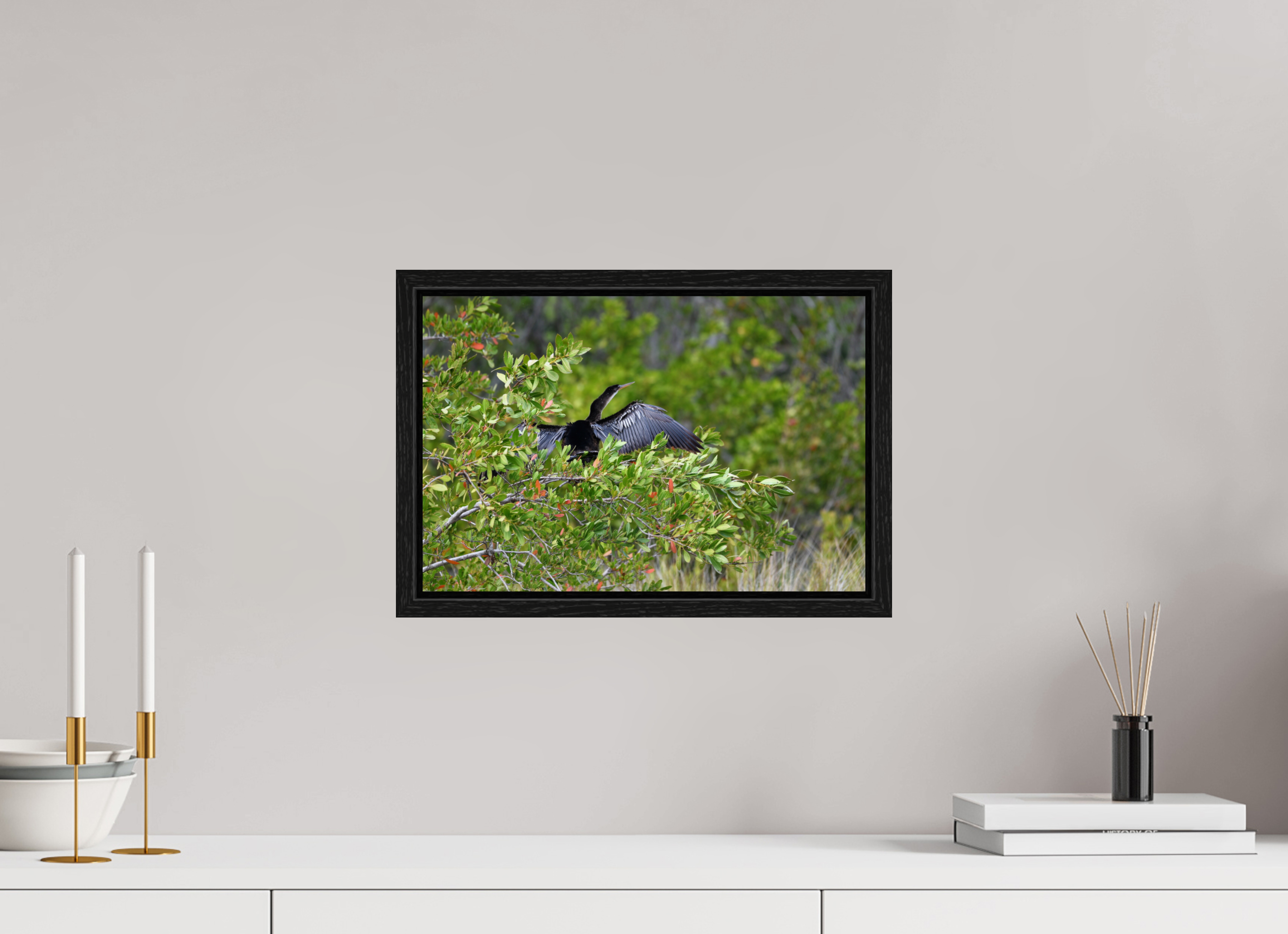15 x 10″, Floater Frame Florida Anhinga Sunning