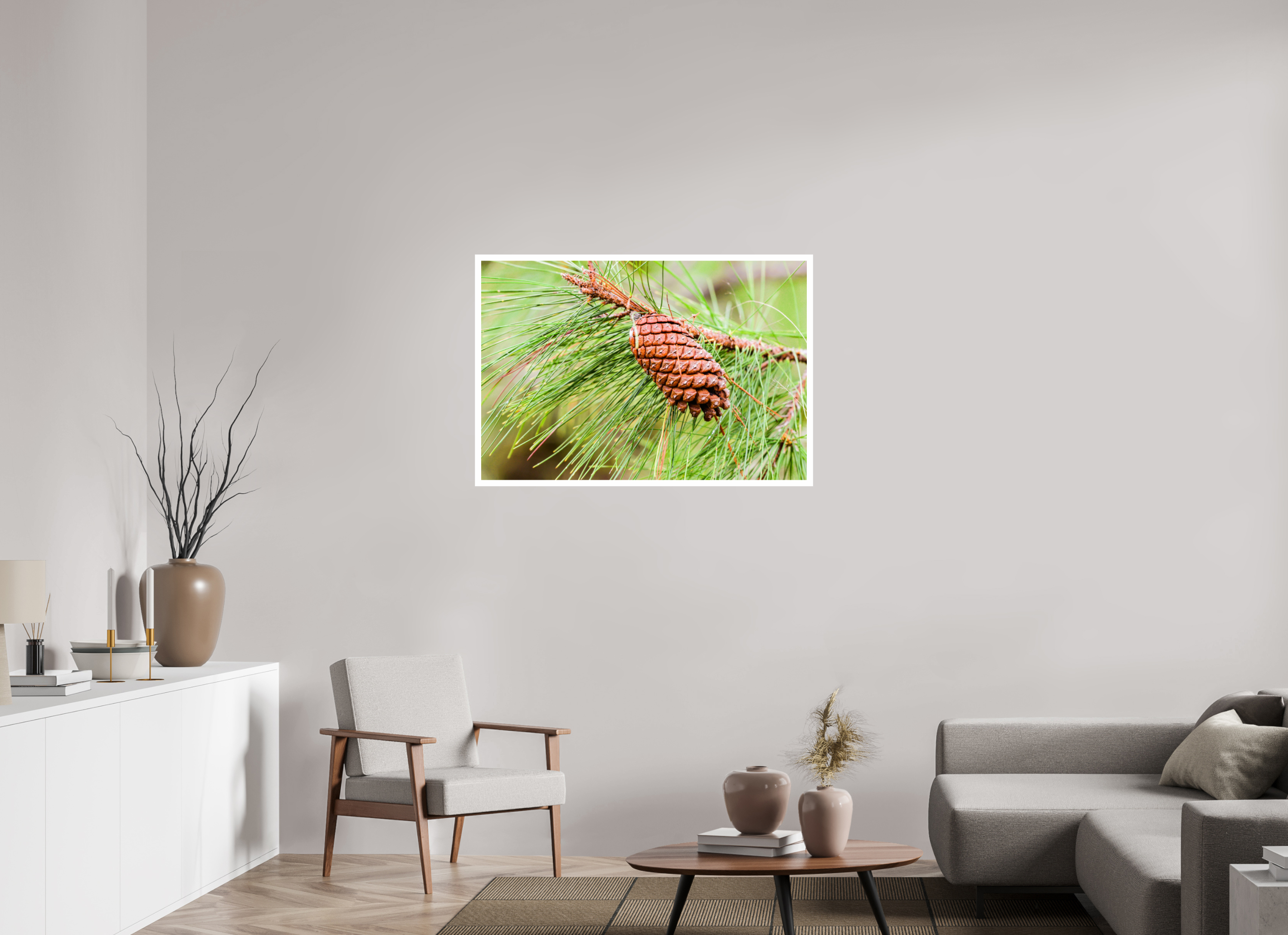 41.6 x 28″, Hahnemühle FineArt Pearl Print, .79" white border The Longleaf Pine Cone