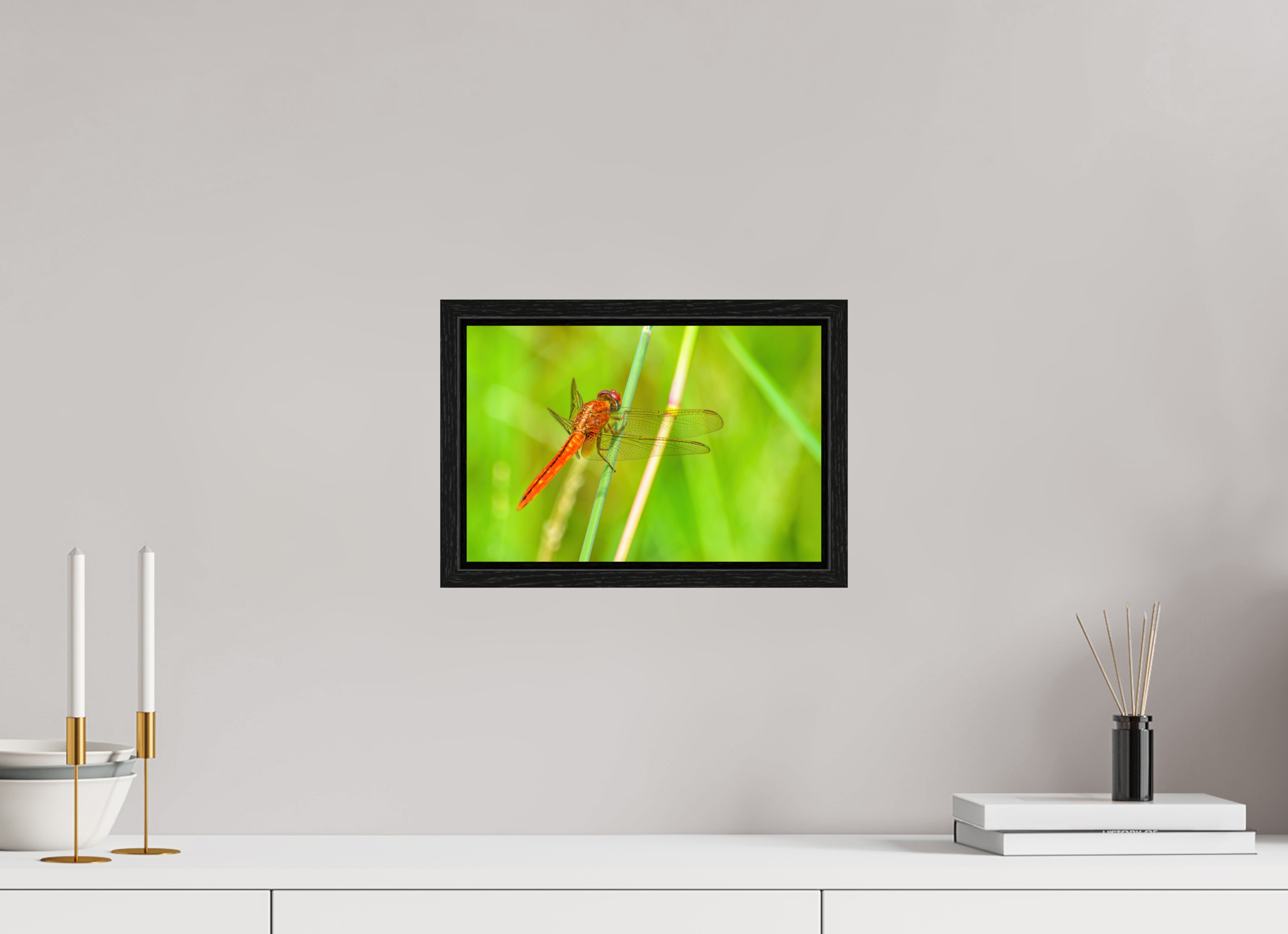 12 x 8″, Floater Frame, Basel 0.6", Black Oak, Glossy Acrylic Glass Resting Scarlet Skimmer
