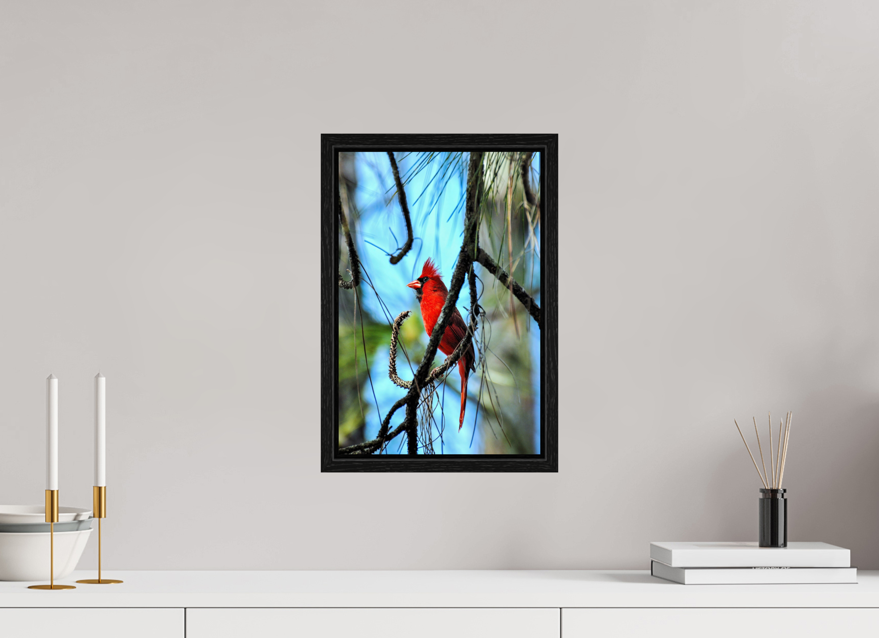 10 x 15″, Floater Frame, Basel 0.6", Black Oak, Glossy Acrylic Glass The Corkscrew Cardinal