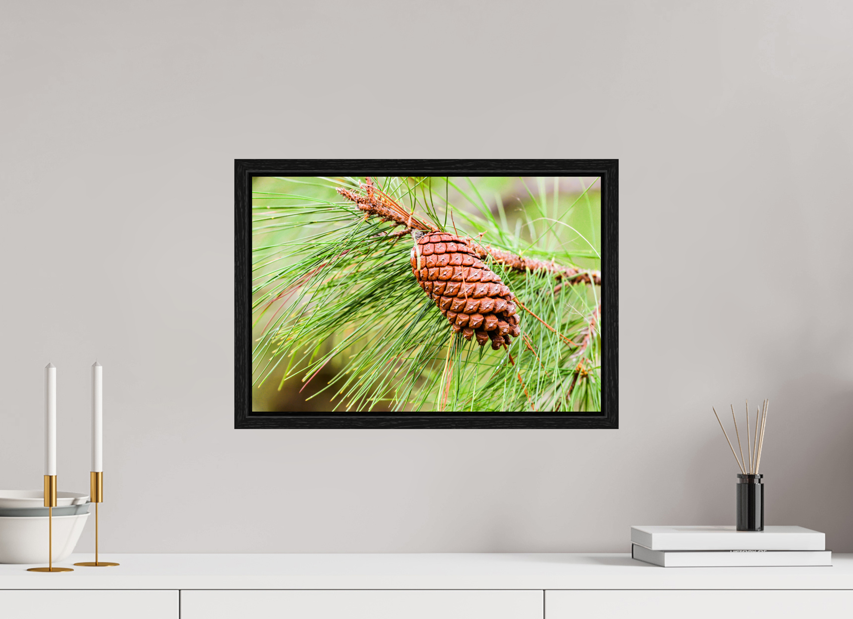 17.8 x 12″, Floater Frame The Longleaf Pine Cone