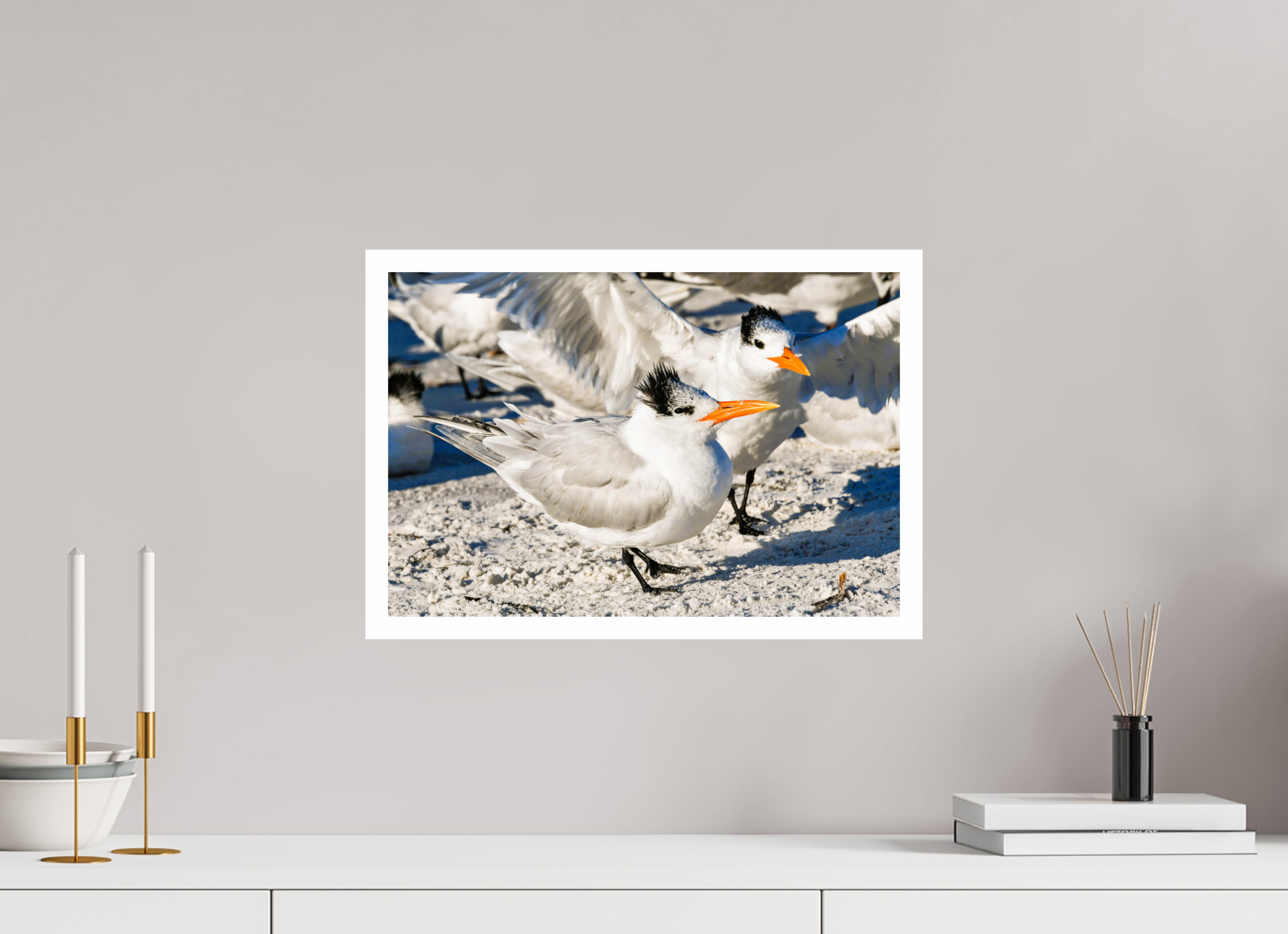 17.8 x 12″, Hahnemühle FineArt Pearl Print, .79" white border Coastal Royalty