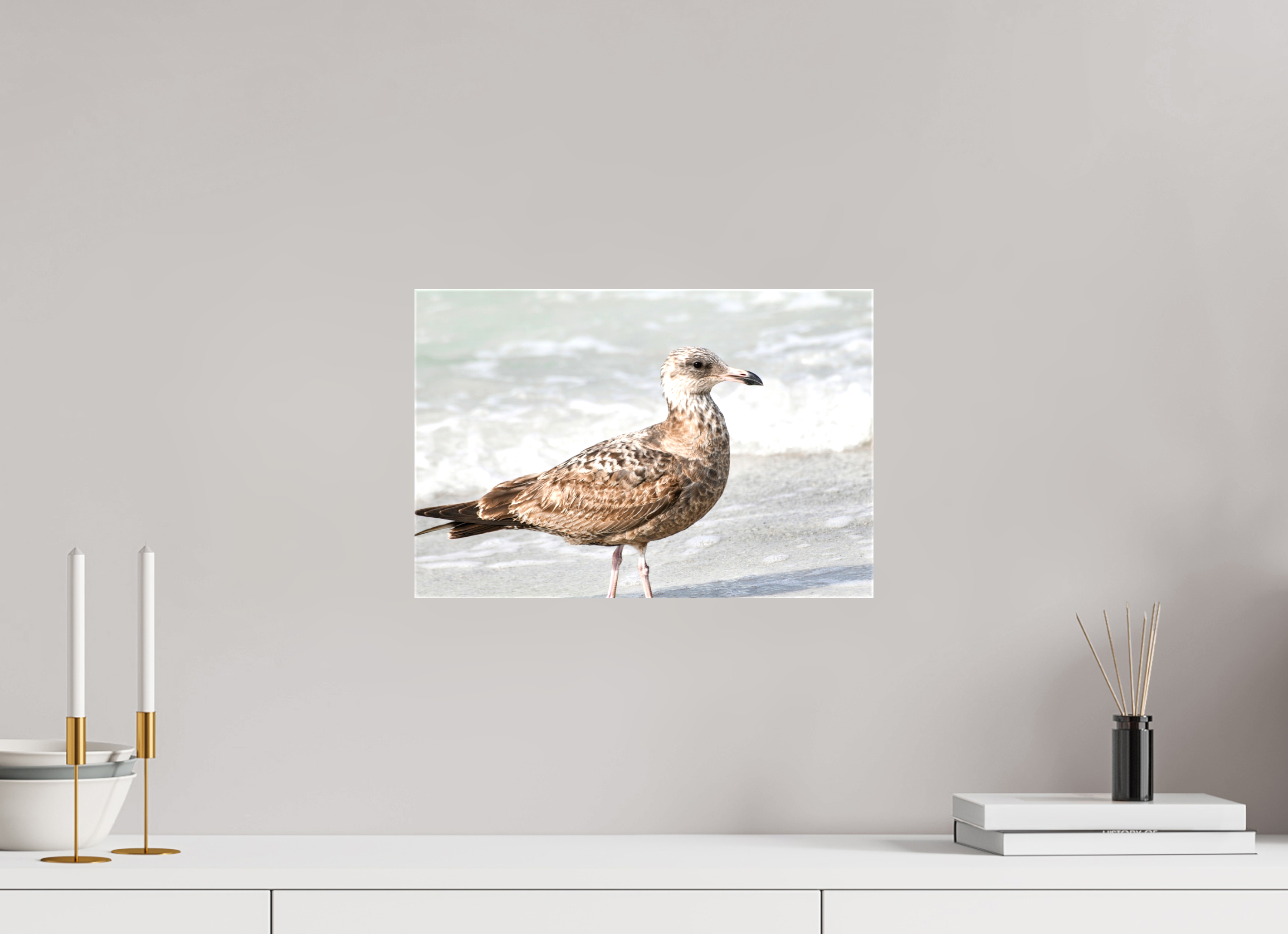 15 x 10″, Glossy Canvas on Stretcher Frame, 1,57" Wrapped The Young Explorer: Immature American Herring Gull