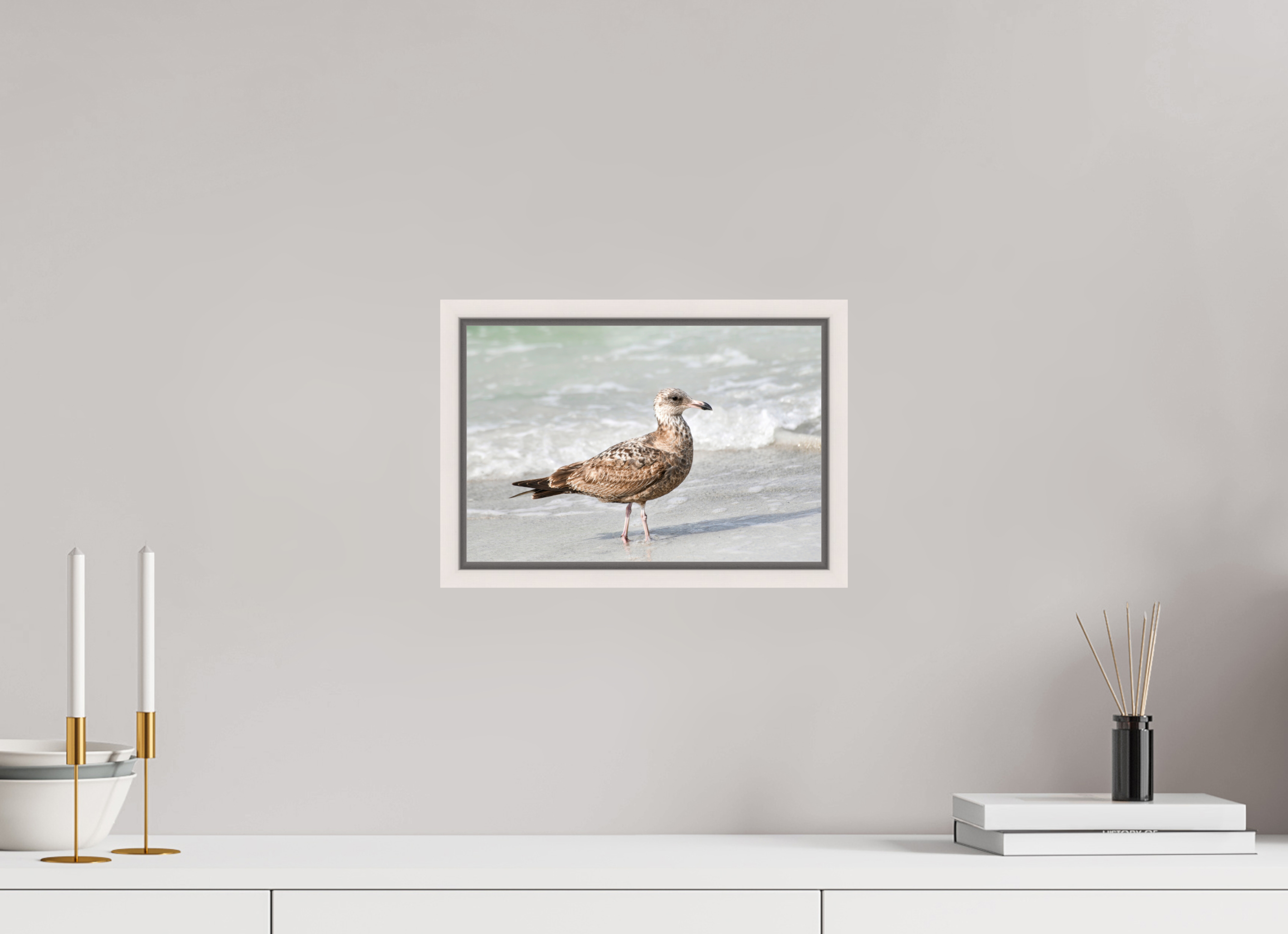 12 x 8″, Floater Frame, Basel 0.6", Maple White, Glossy Acrylic Glass The Young Explorer: Immature American Herring Gull