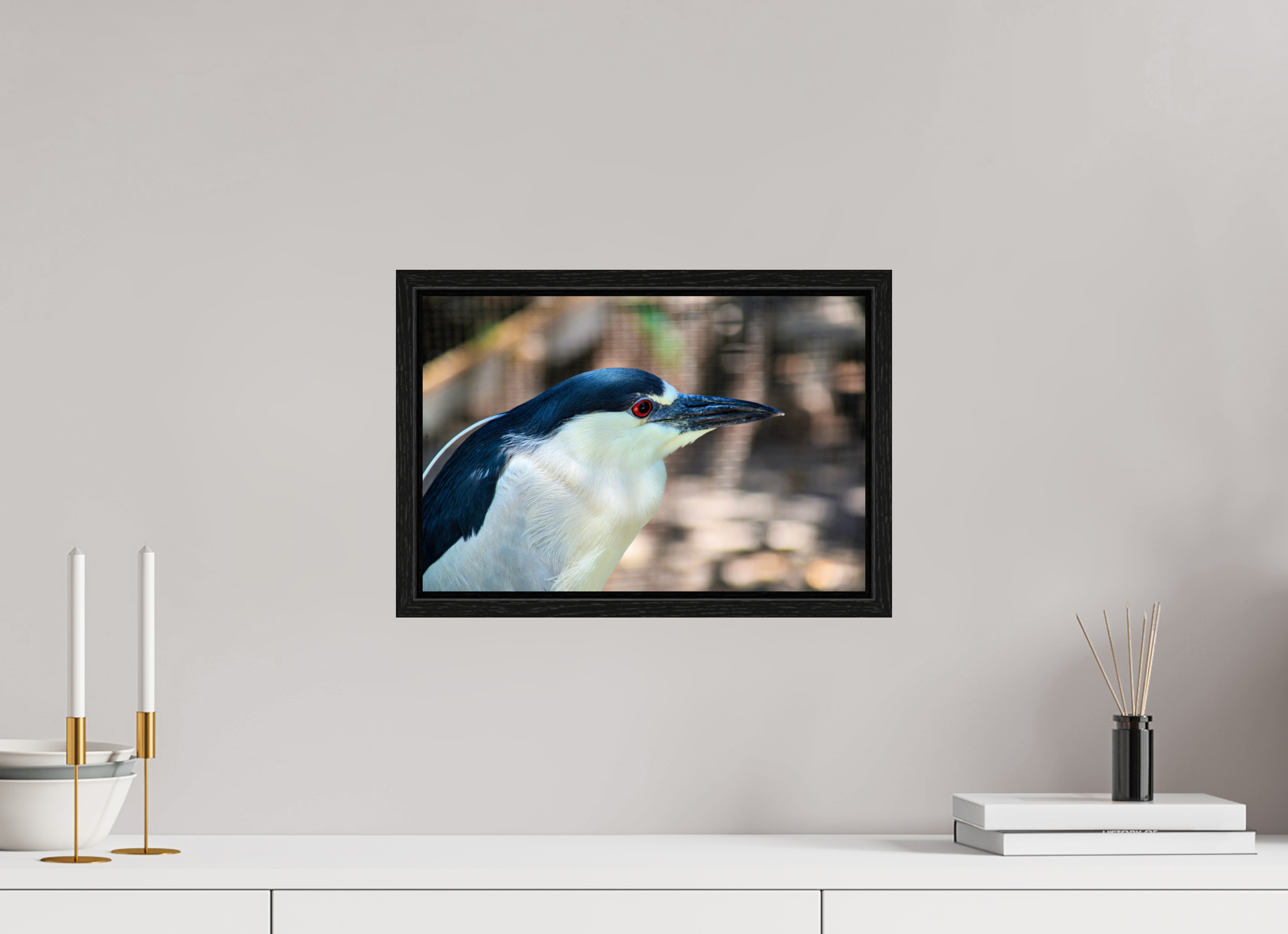 15 x 10″, Floater Frame, Basel 0.6", Black Oak, Glossy Acrylic Glass Black-crowned Night Heron