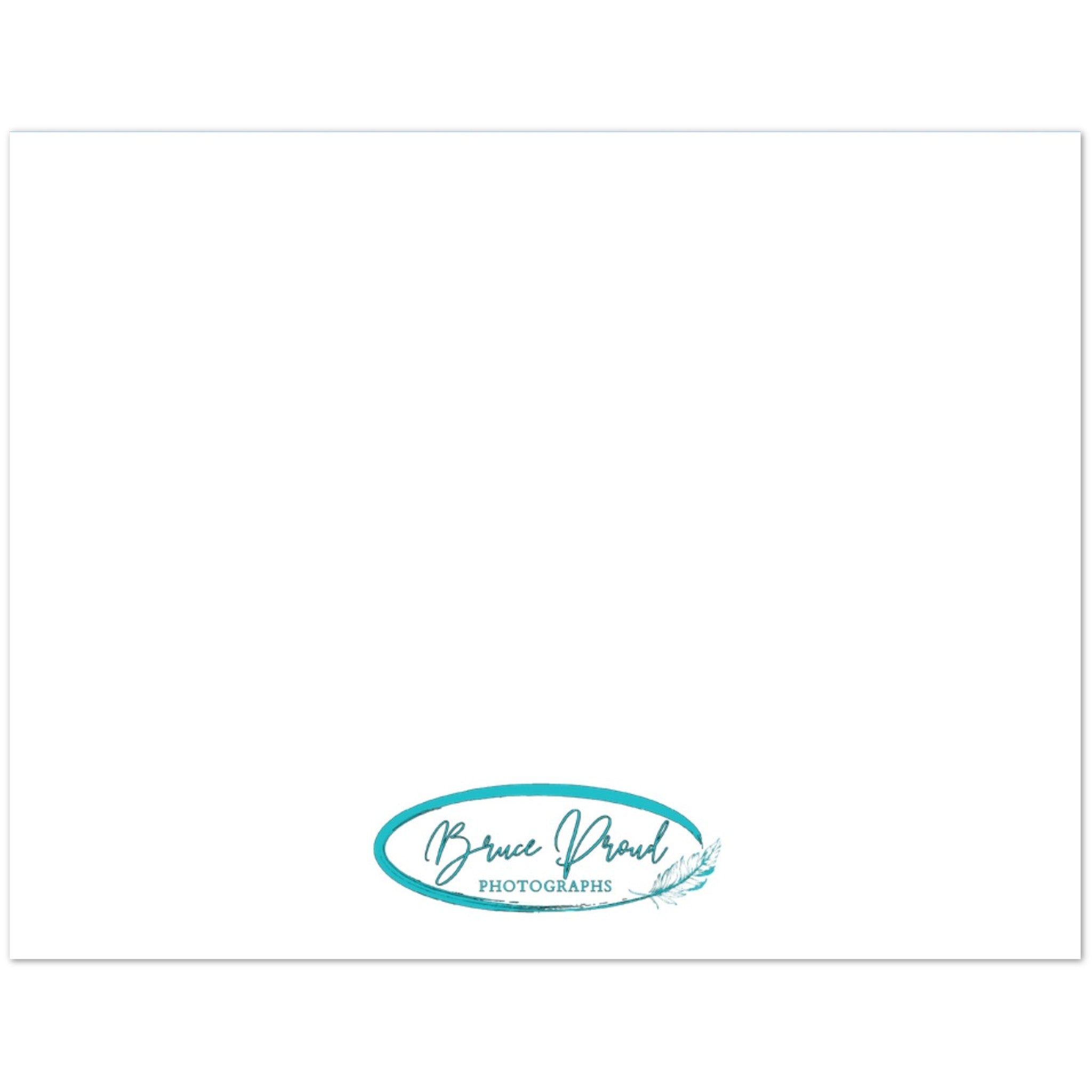 796c93a2-6c00-4786-bd35-2314d0a338c8