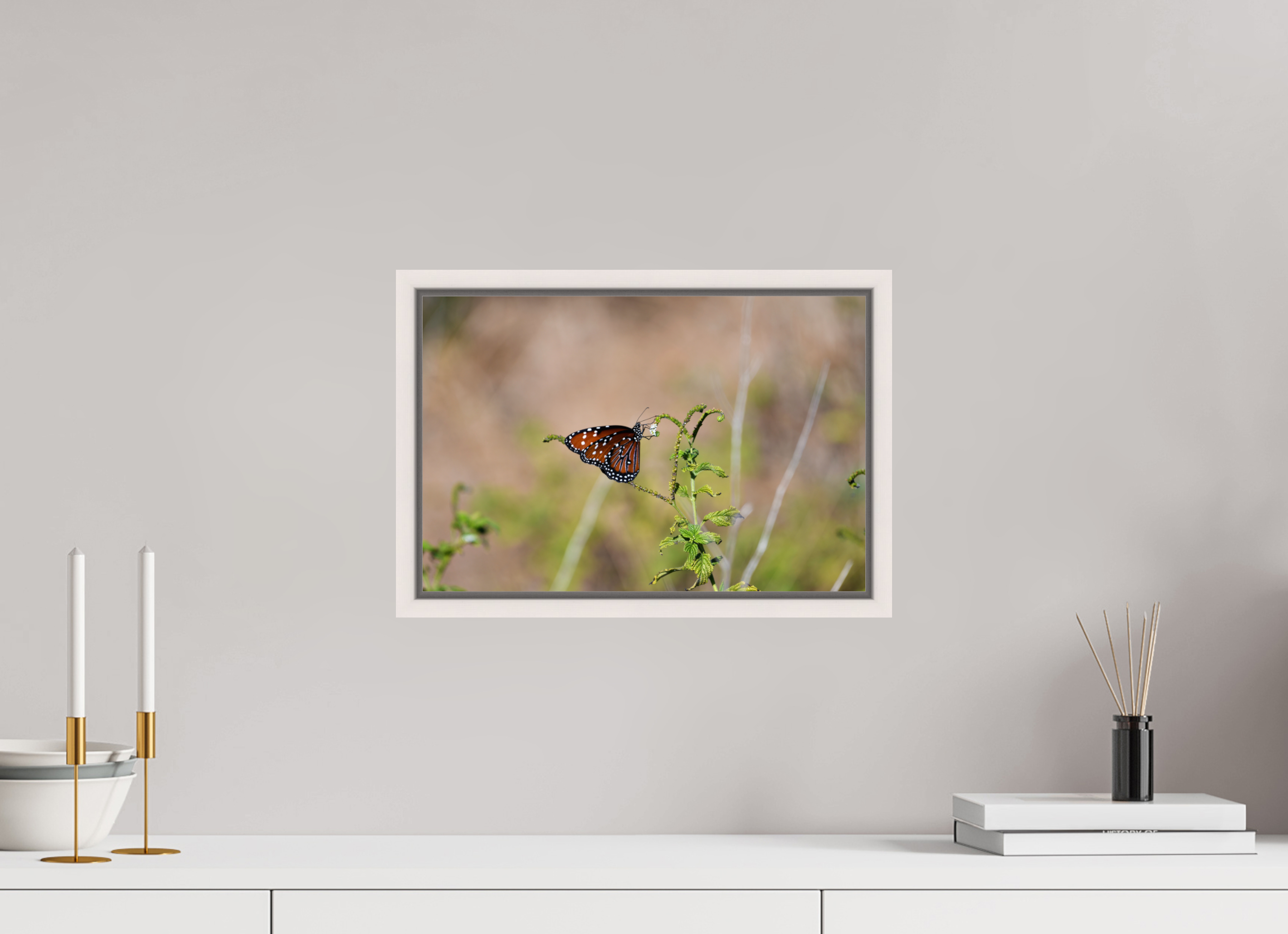 15 x 10″, Floater Frame, Basel 0.6", Maple White, Glossy Acrylic Glass Queen Butterfly
