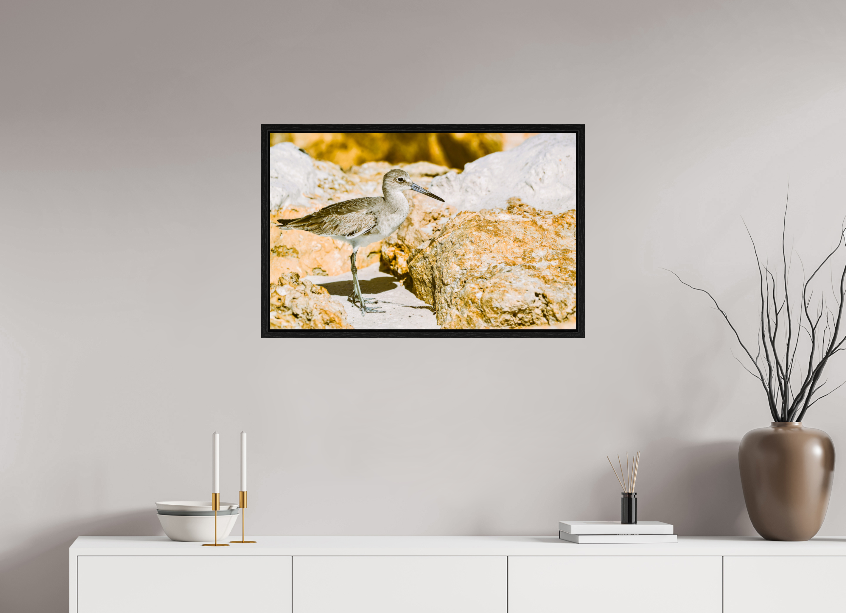 31.1 x 20″, Floater Frame The Sunny Willet