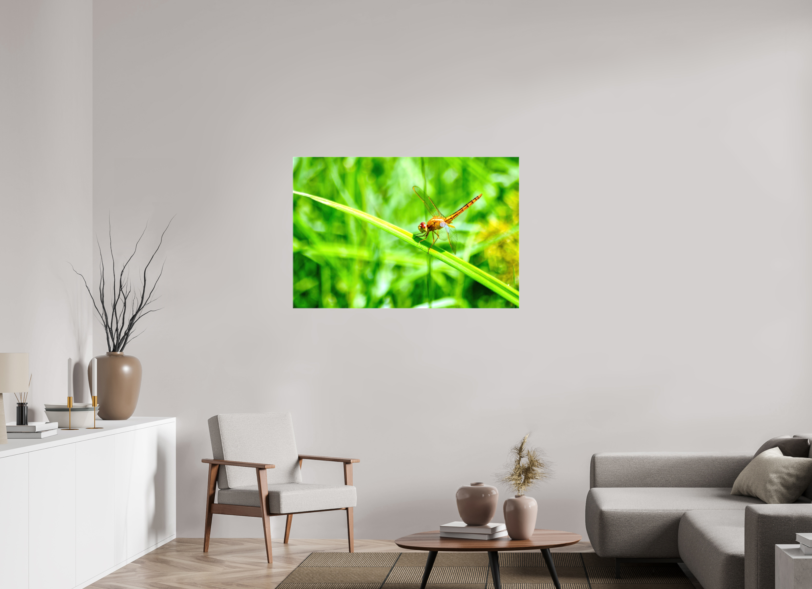45 x 30″, Glossy Canvas on Stretcher Frame, 1,57" Wrapped Female Scarlet Skimmer