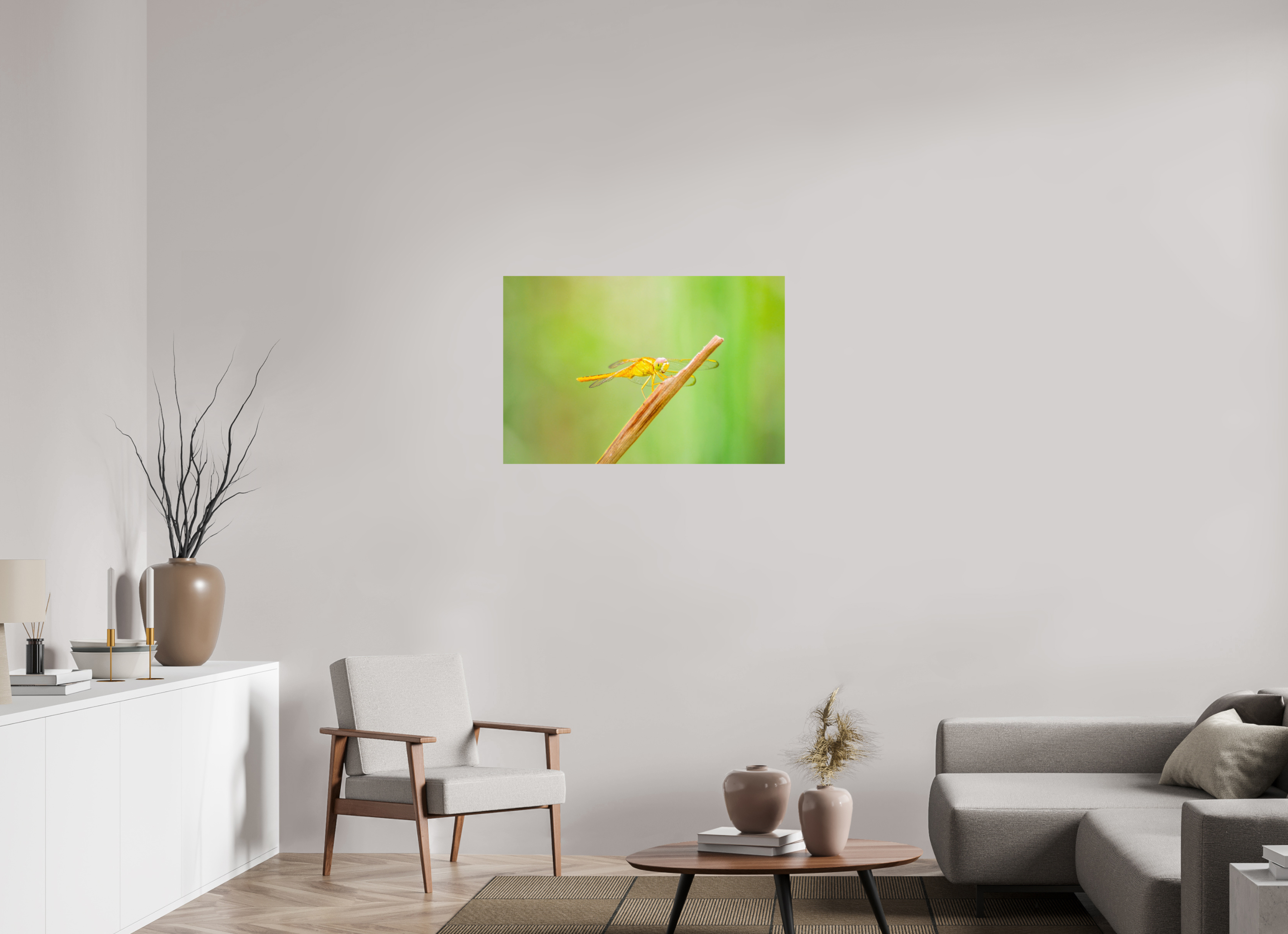 36 x 24″, Photo Print On Fuji Crystal DP II Sun-Drenched Golden Scarlet Skimmer