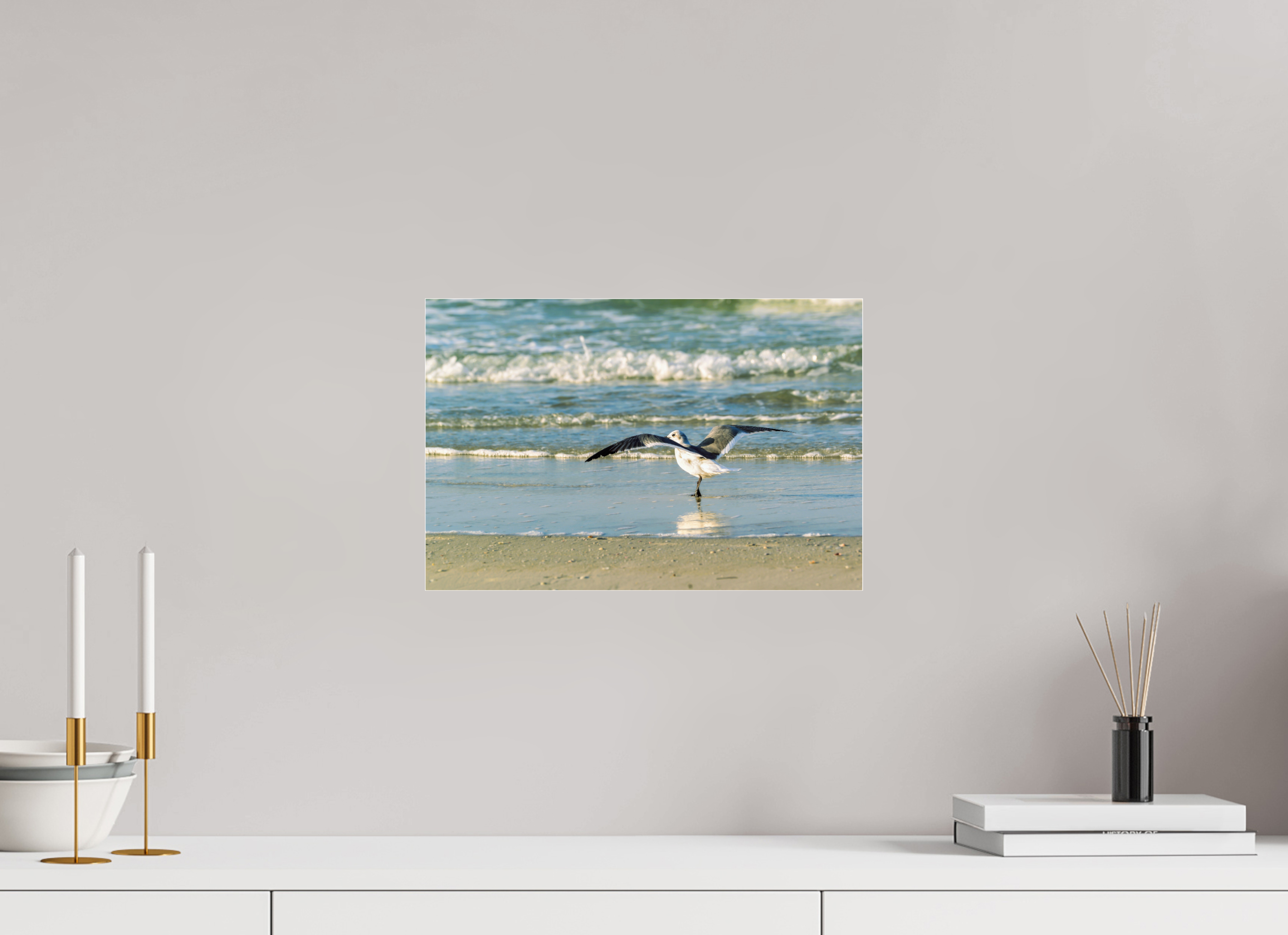 15 x 10″, Metallic Photo Print Under Acrylic Glass Laughing Gull in Motion