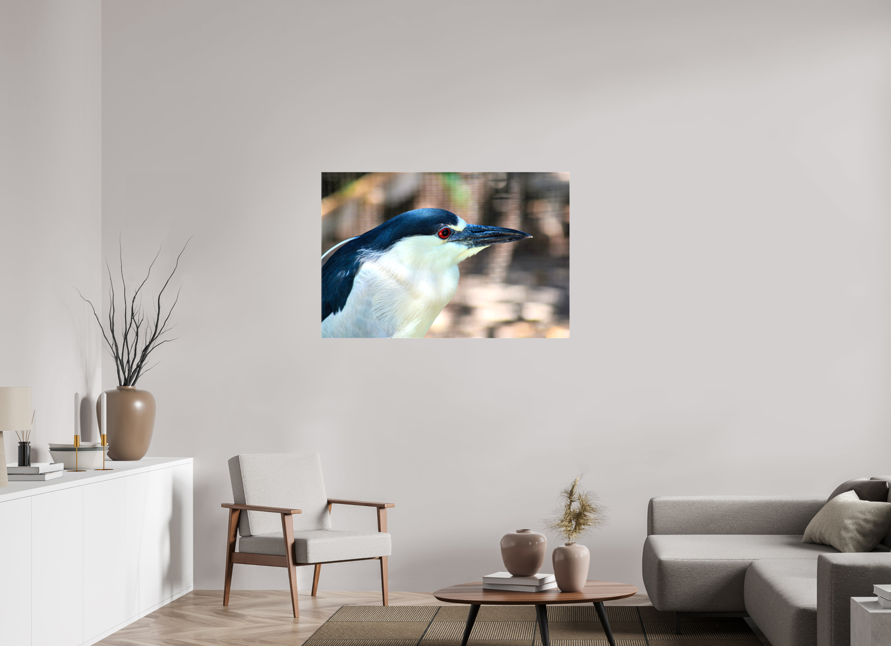 45 x 30″, Glossy Canvas on Stretcher Frame, 1,57" Wrapped Black-crowned Night Heron