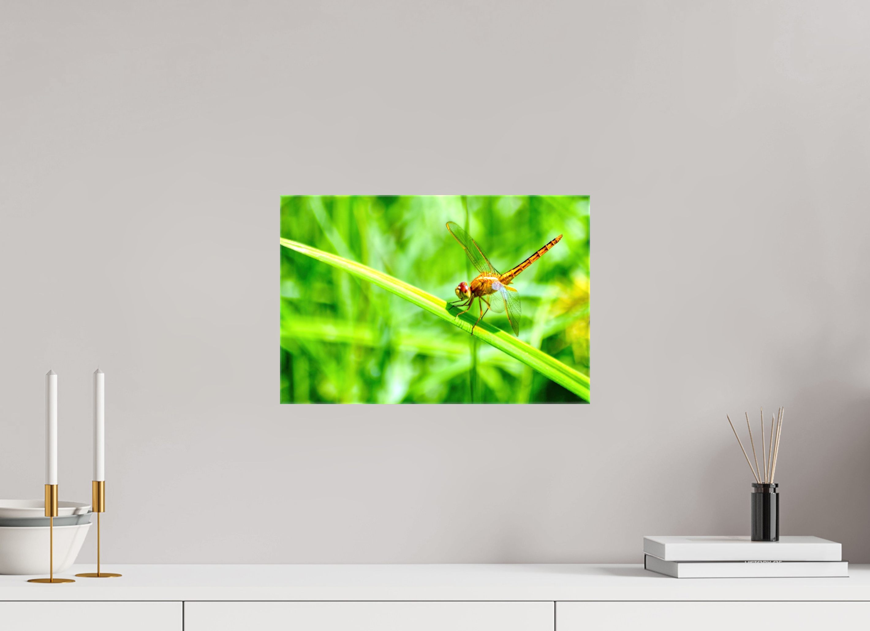 15 x 10″, Glossy Canvas on Stretcher Frame, 1,57" Wrapped Female Scarlet Skimmer