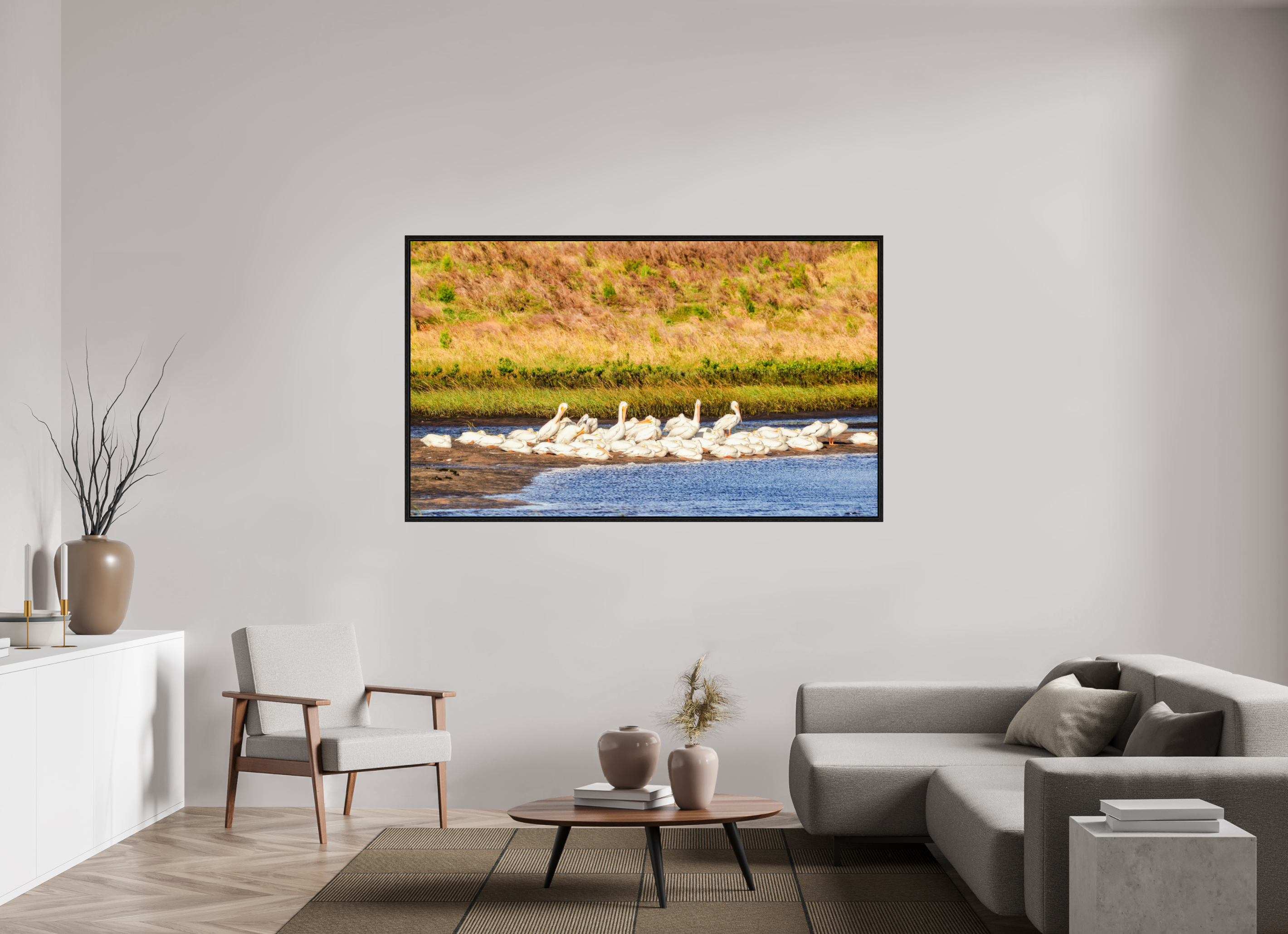 72.9 x 43″, Floater Frame White Pelicans Golden Hour Gathering