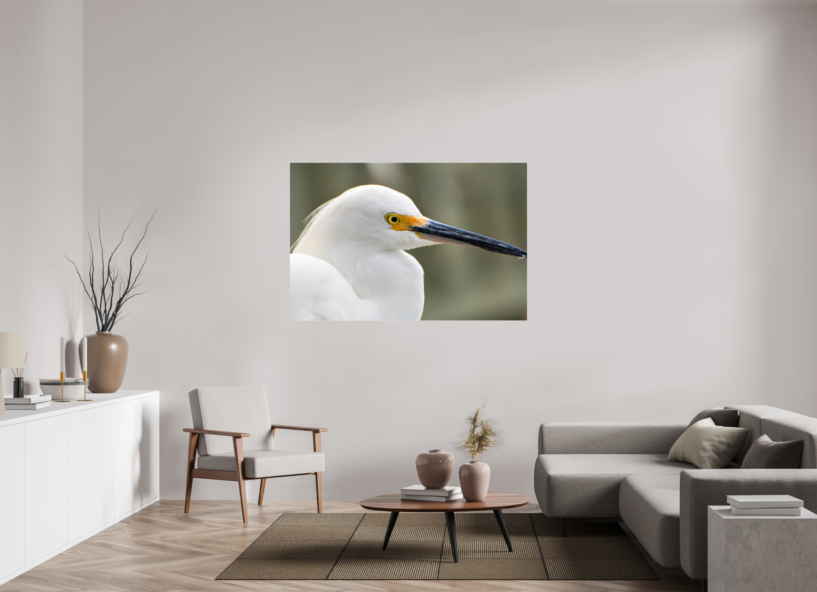 60 x 40″, Photo Print Fuji Crystal Archive Under Acrylic Glass The White Plume: Snowy Egret Portrait