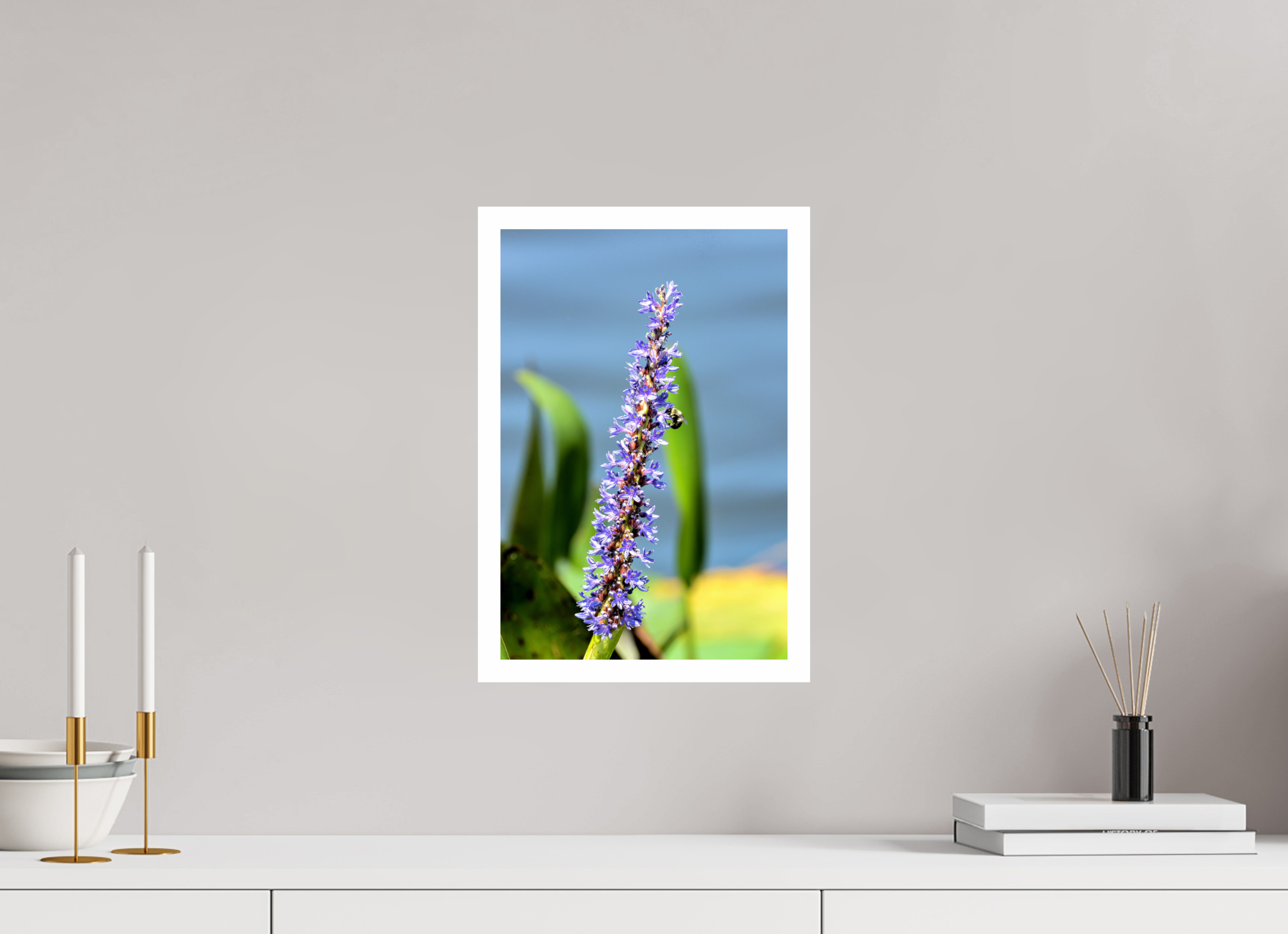 10 x 15″, Hahnemühle FineArt Pearl Print, .79" white border Bloom & Buzz