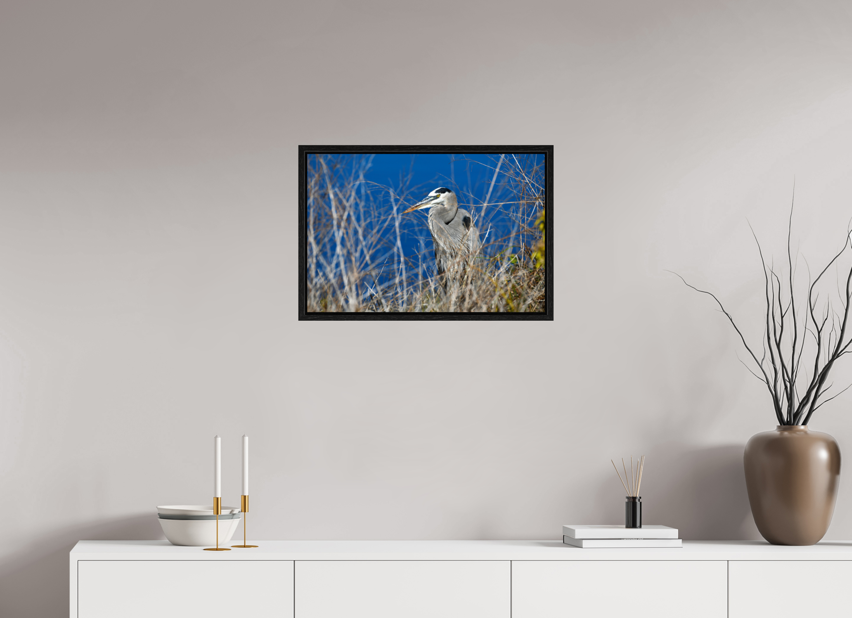 24 x 16″, Floater Frame, Basel 0.6", Black Oak, Glossy Acrylic Glass Hidden Majesty: Great Blue Heron