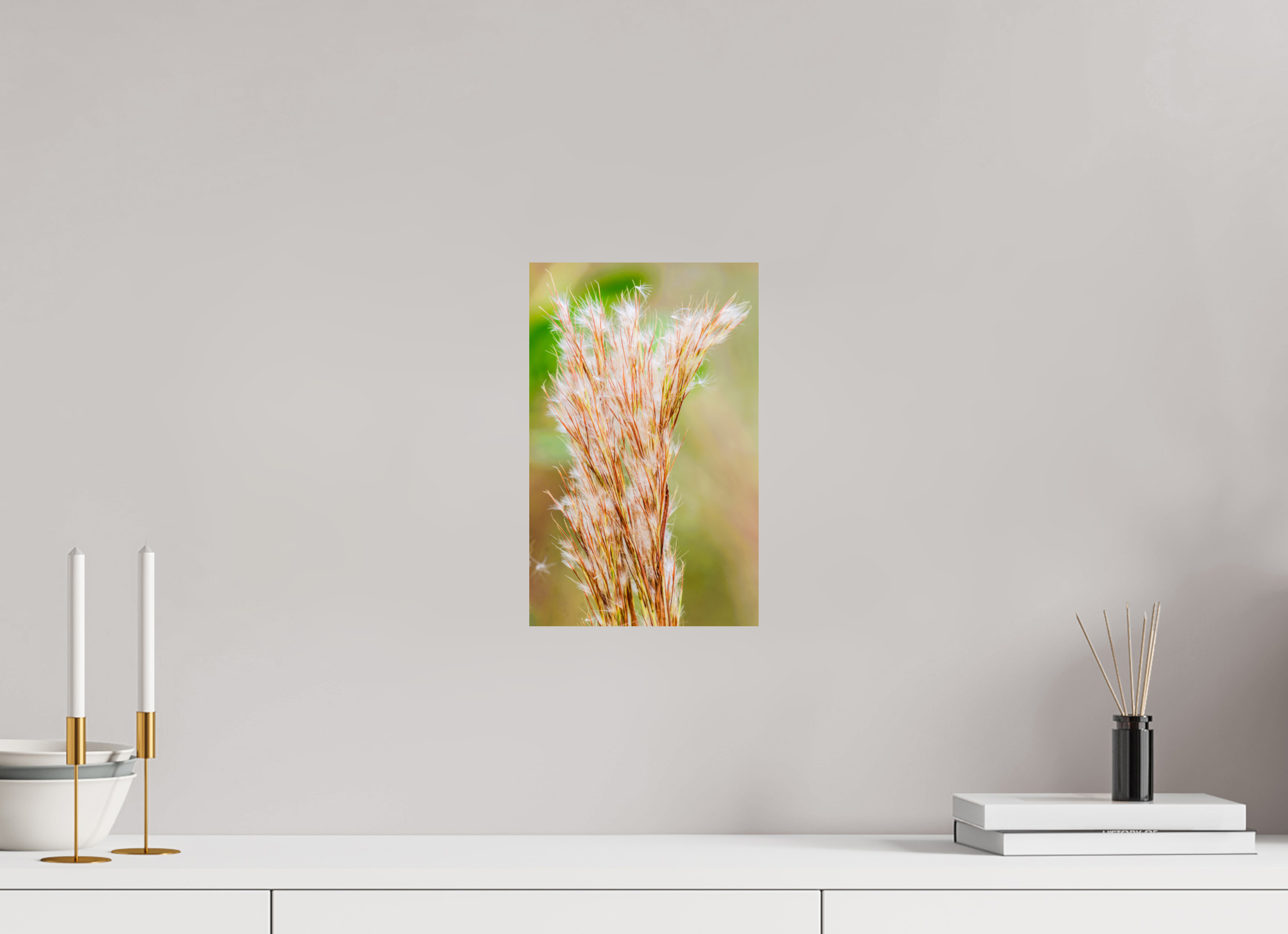 8 x 12.7″, Photo Print On Fuji Crystal DP II Bushy Bluestem in the Breeze