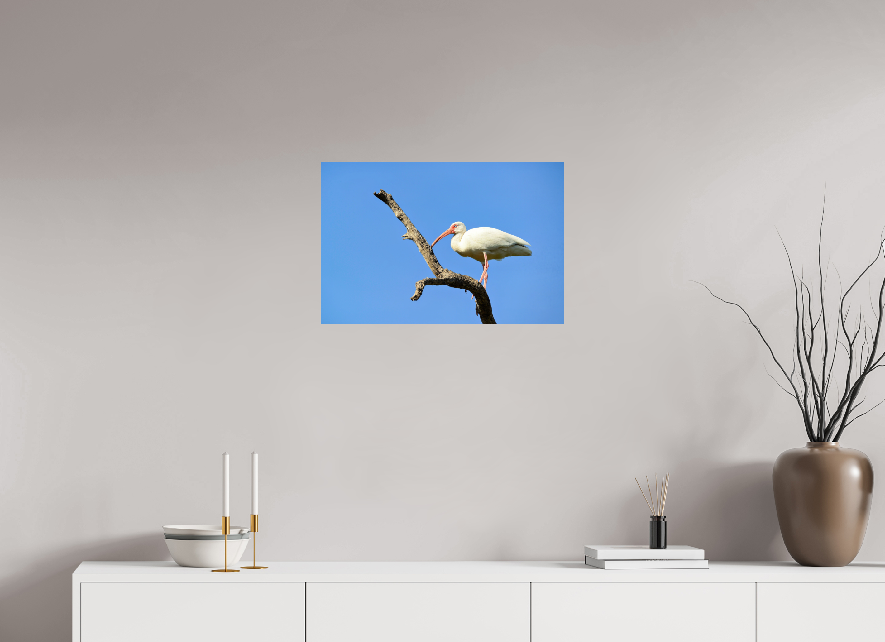 24 x 16″, Photo Print On Fuji Crystal DP II Azure Solitude: The American White Ibis