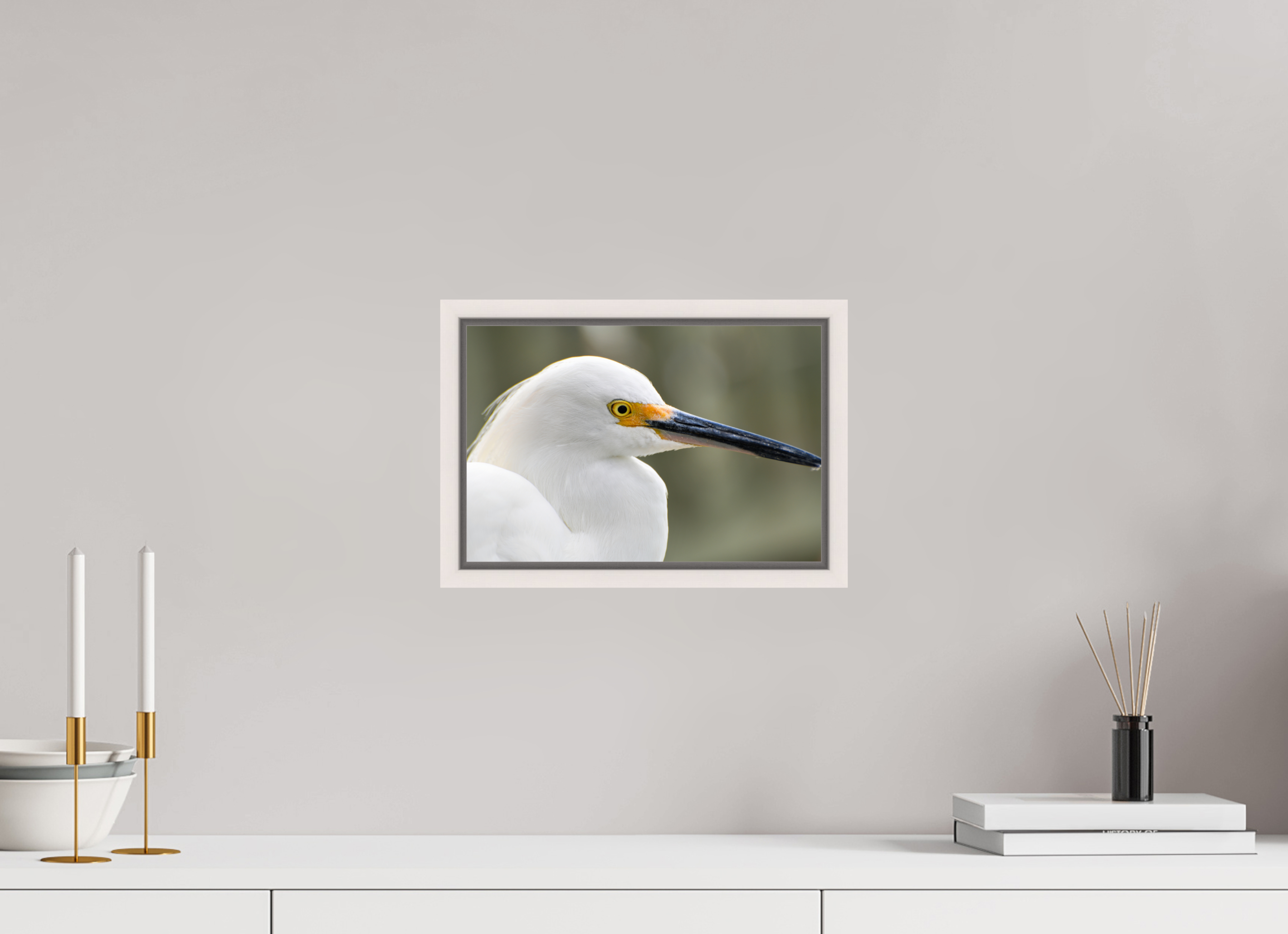 12 x 8″, Floater Frame, Basel 0.6", Maple White, Glossy Acrylic Glass The White Plume: Snowy Egret Portrait