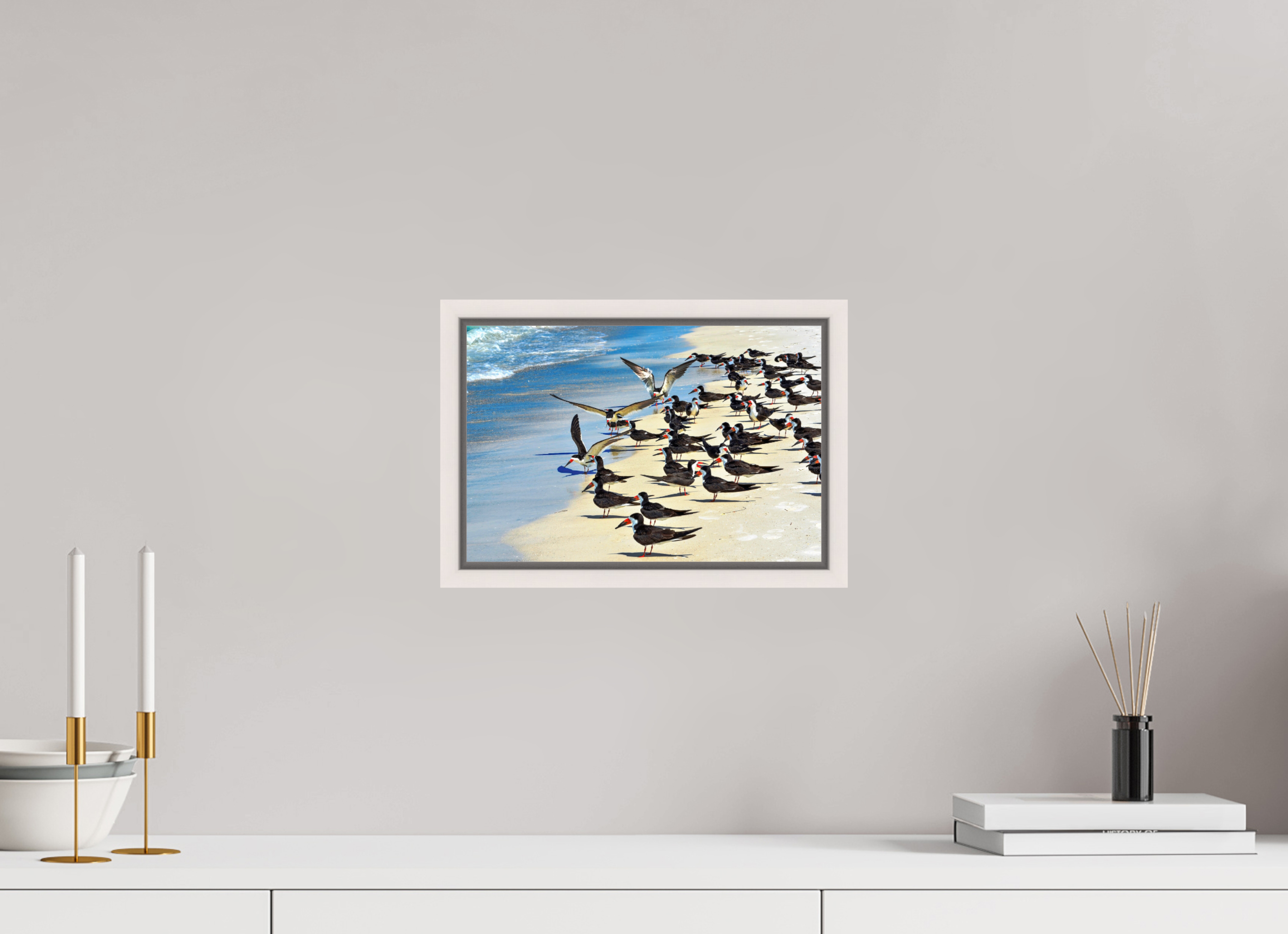 12 x 8″, Floater Frame, Basel 0.6", Maple White, Glossy Acrylic Glass Shoreline Social: Black Skimmer Colony