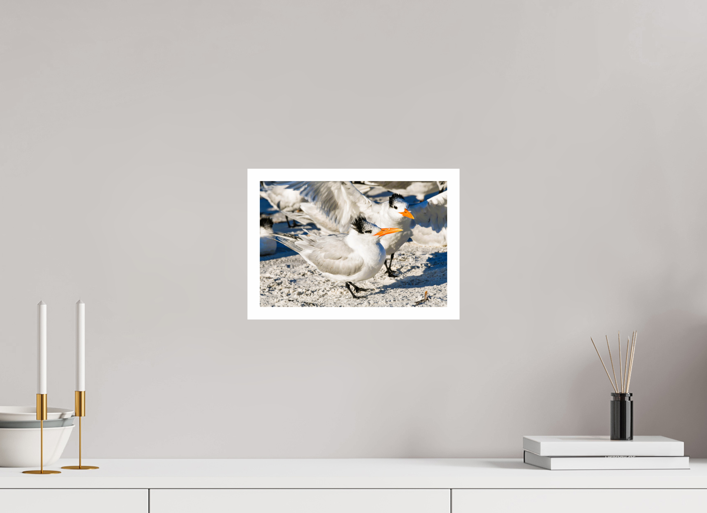 11.9 x 8″, Hahnemühle FineArt Pearl Print, .79" white border Coastal Royalty