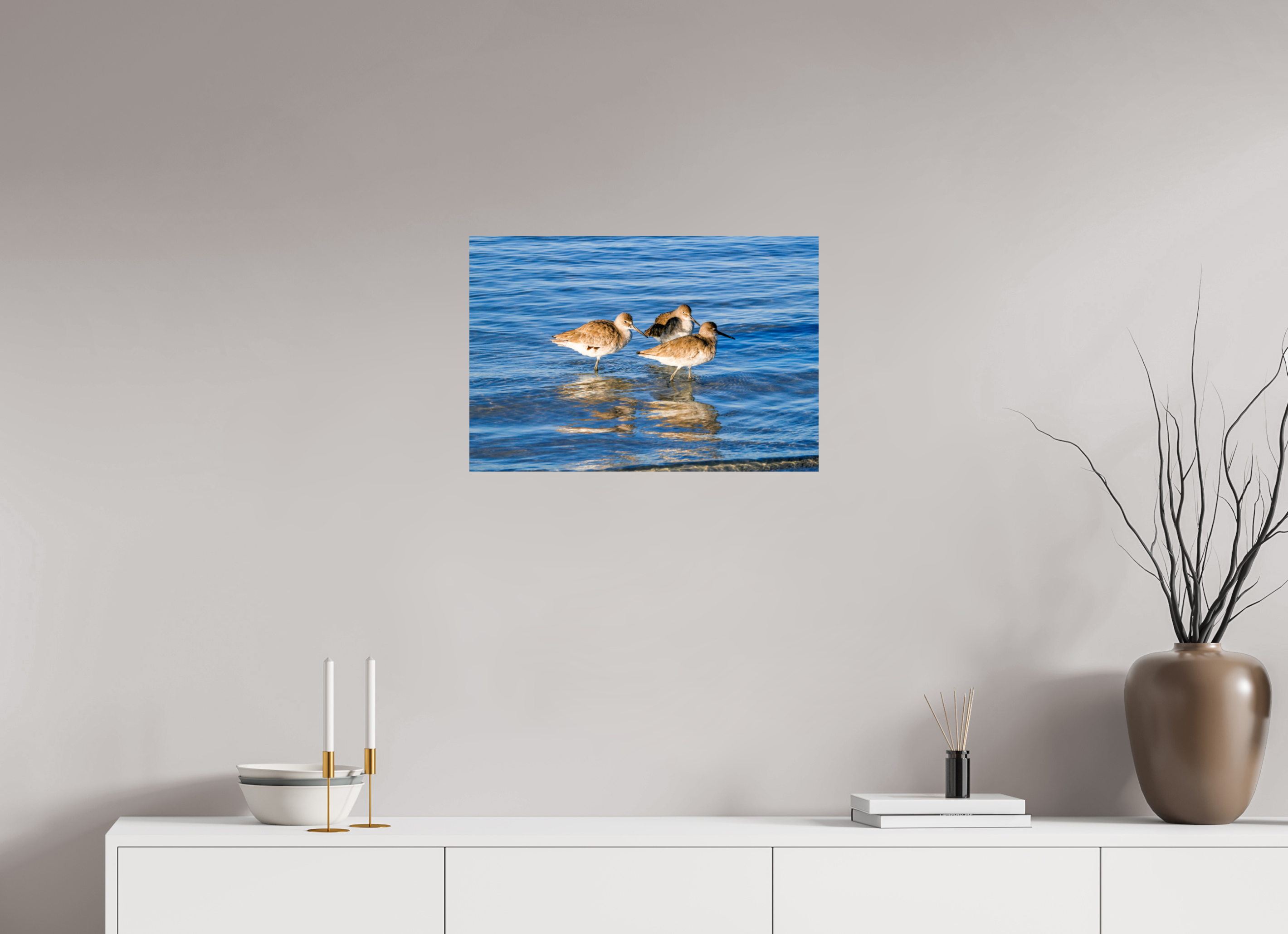 23.7 x 16″, Photo Print On Fuji Crystal DP II The Shoreline Trio: Willets in the Surf