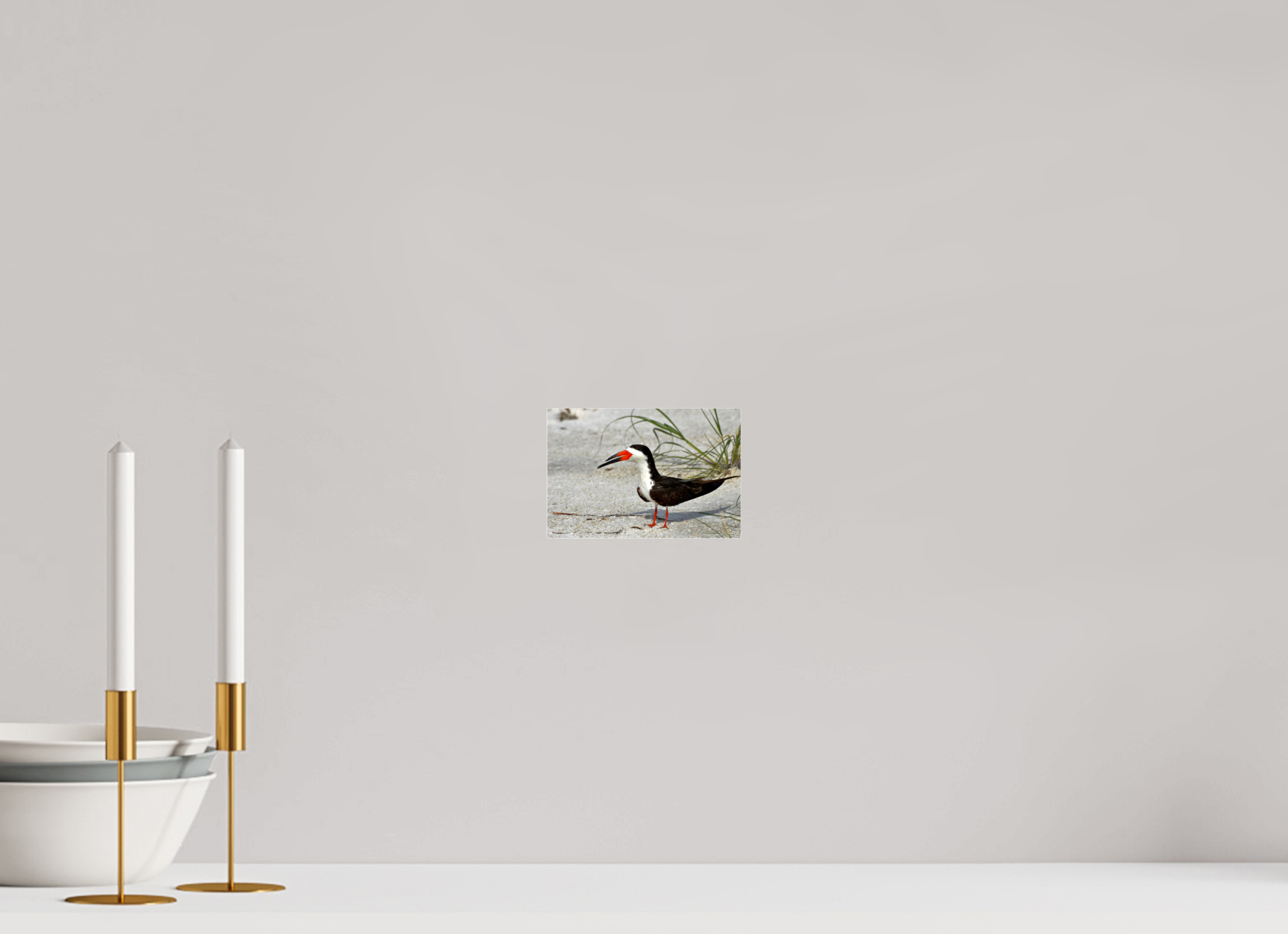 6 x 4″, Photo Print Fuji Crystal Archive Under Acrylic Glass Sand & Black Skimmer