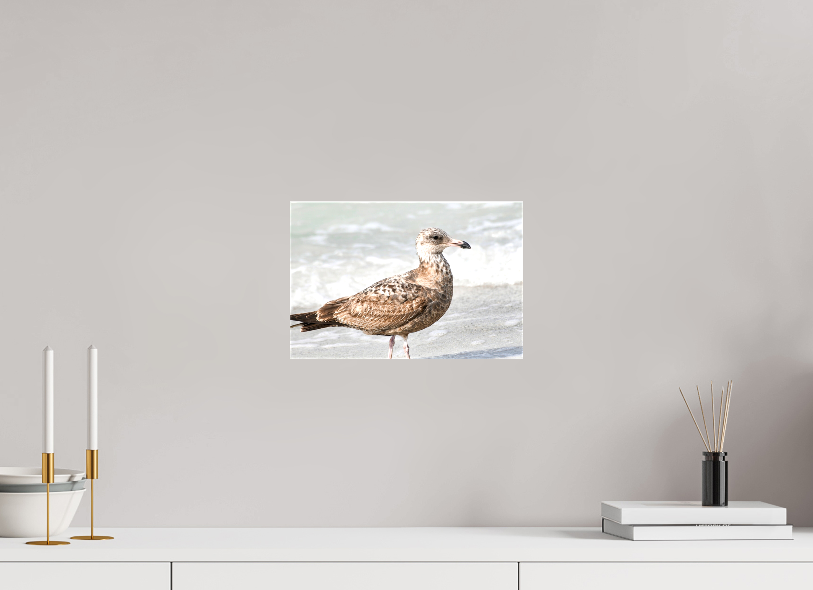 12 x 8″, Glossy Canvas on Stretcher Frame, 1,57" Wrapped The Young Explorer: Immature American Herring Gull