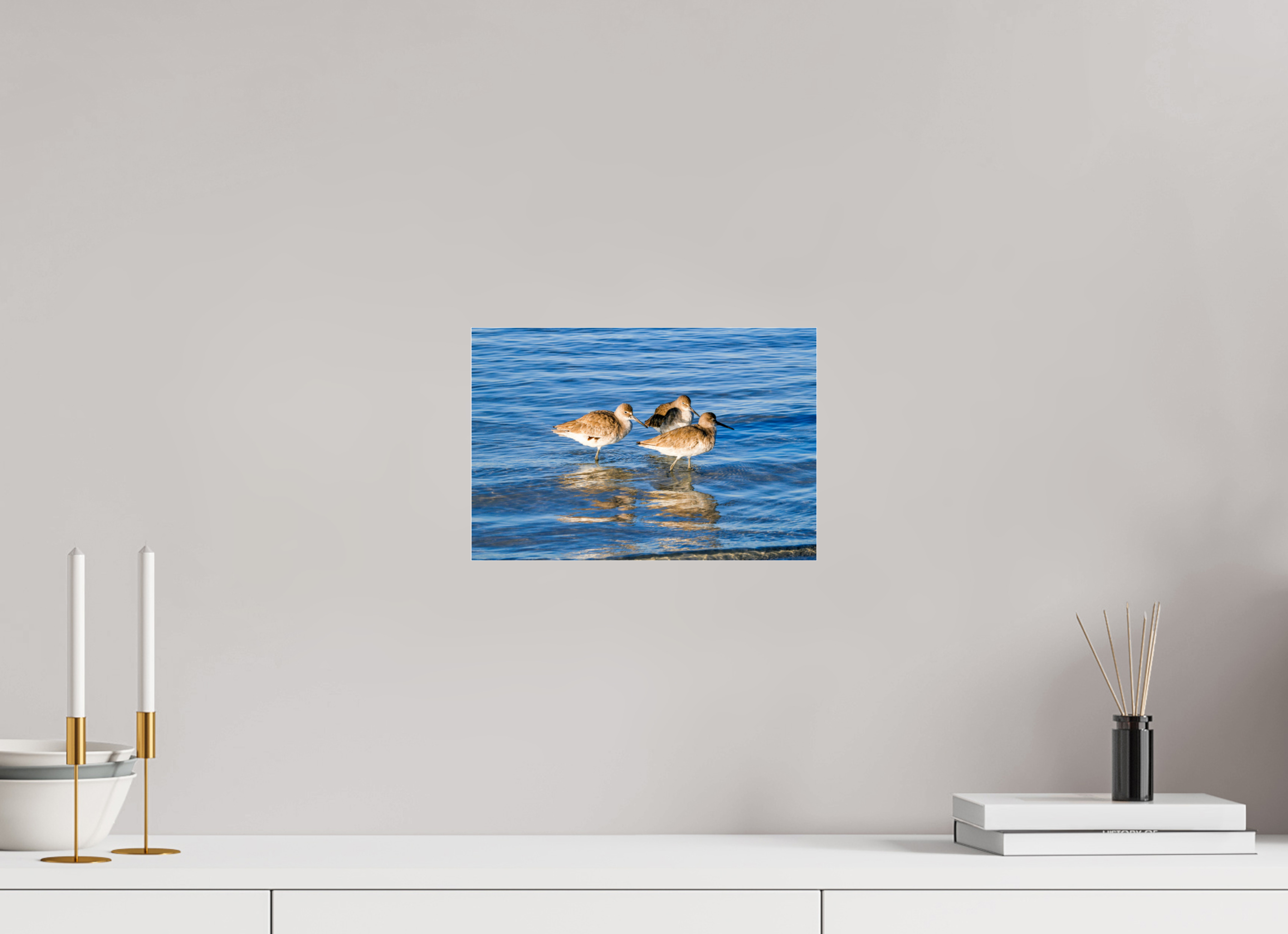 11.9 x 8″, Metallic Photo Print Under Acrylic Glass The Shoreline Trio: Willets in the Surf