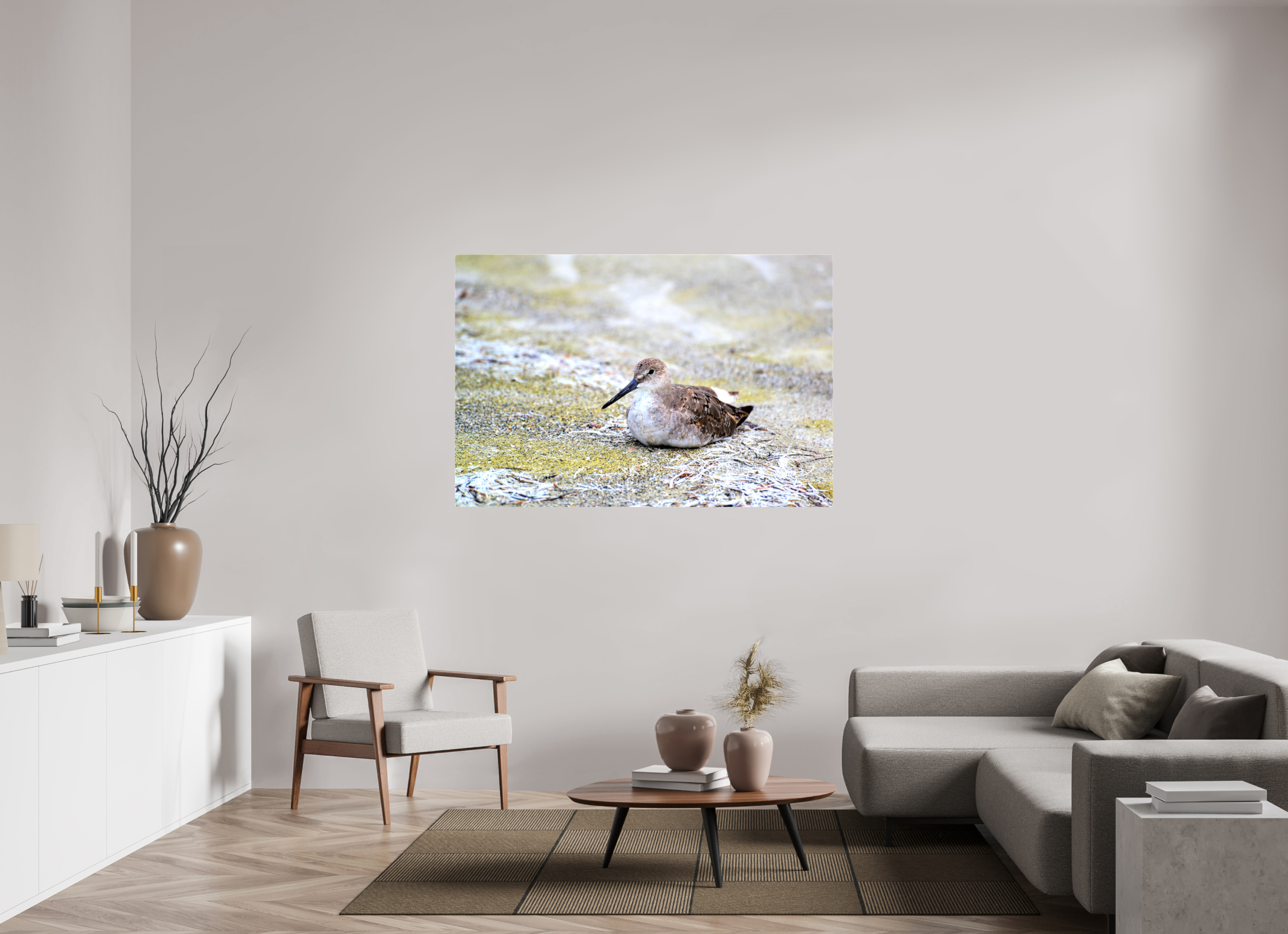 60 x 40″, Glossy Canvas on Stretcher Frame, 1,57" Wrapped The Resting Willet
