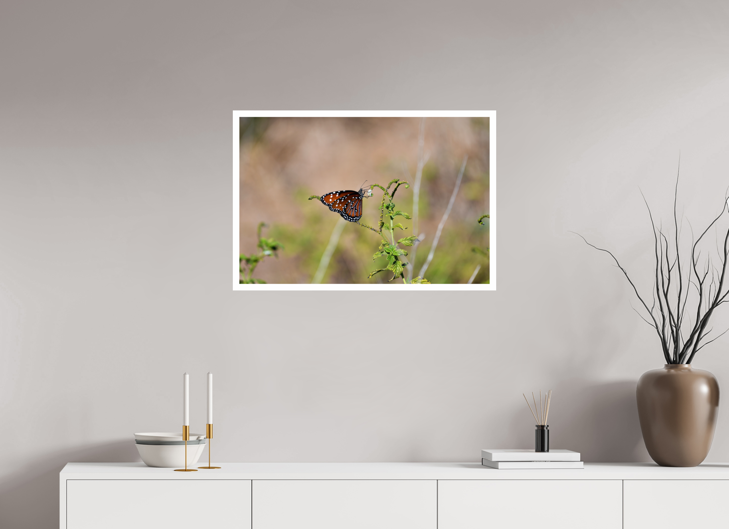 30 x 20″, Hahnemühle FineArt Pearl Print without Frame, .79" white border Queen Butterfly