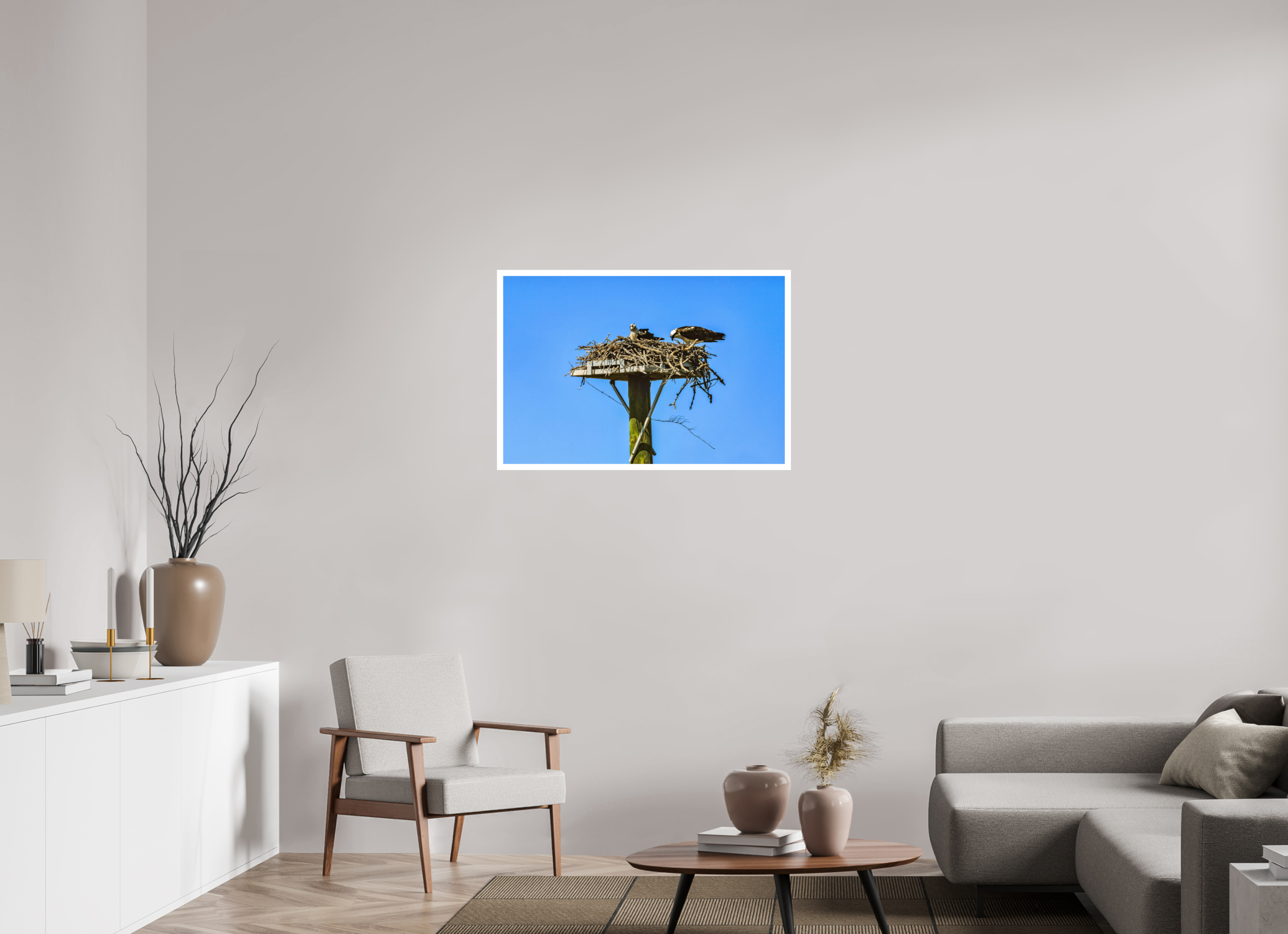 36 x 24″, Hahnemühle FineArt Pearl Print, .79" white border Osprey Outlook