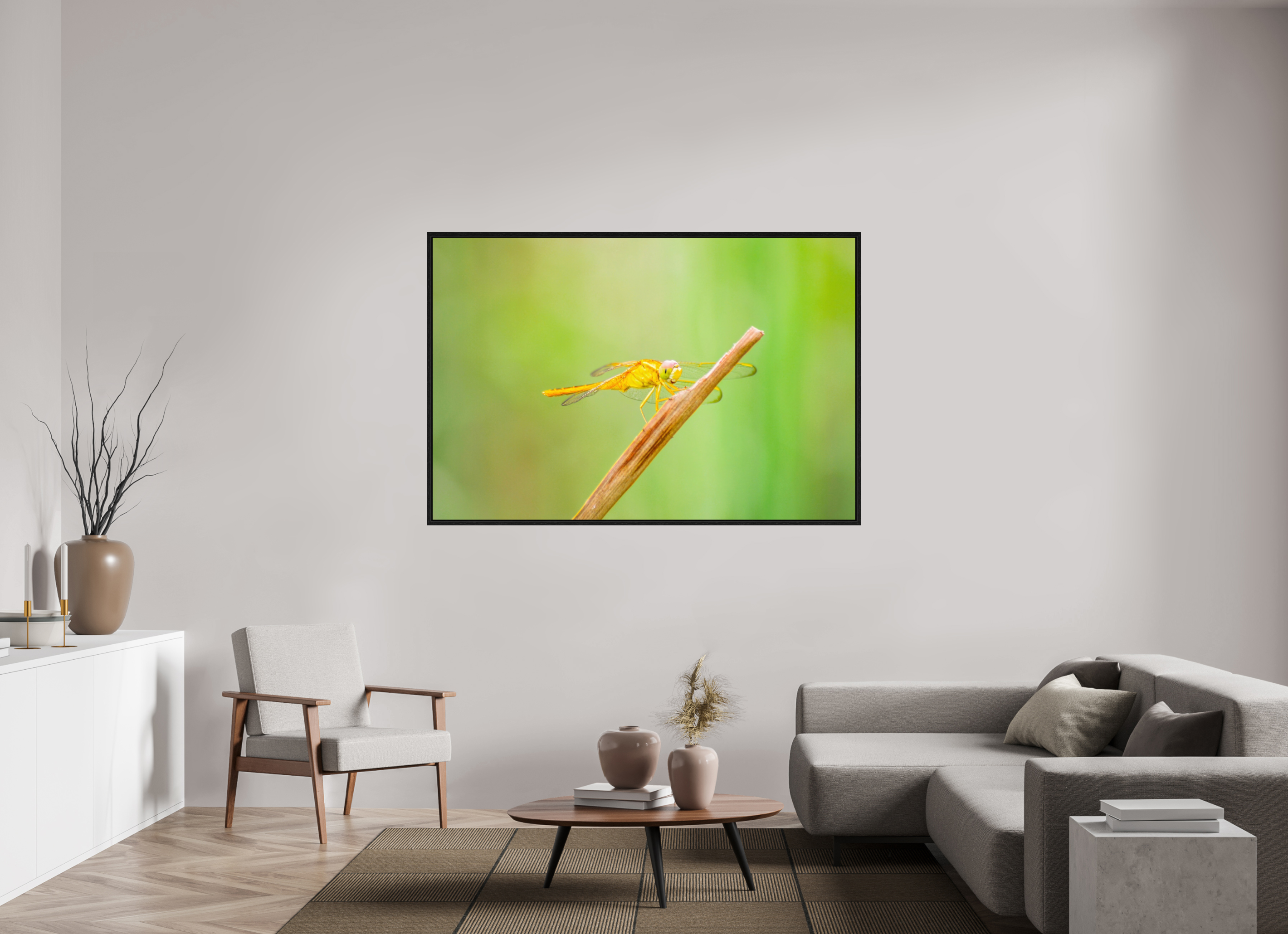 66 x 44″, Floater Frame, Basel 0.6", Black Oak, Glossy Acrylic Glass Sun-Drenched Golden Scarlet Skimmer