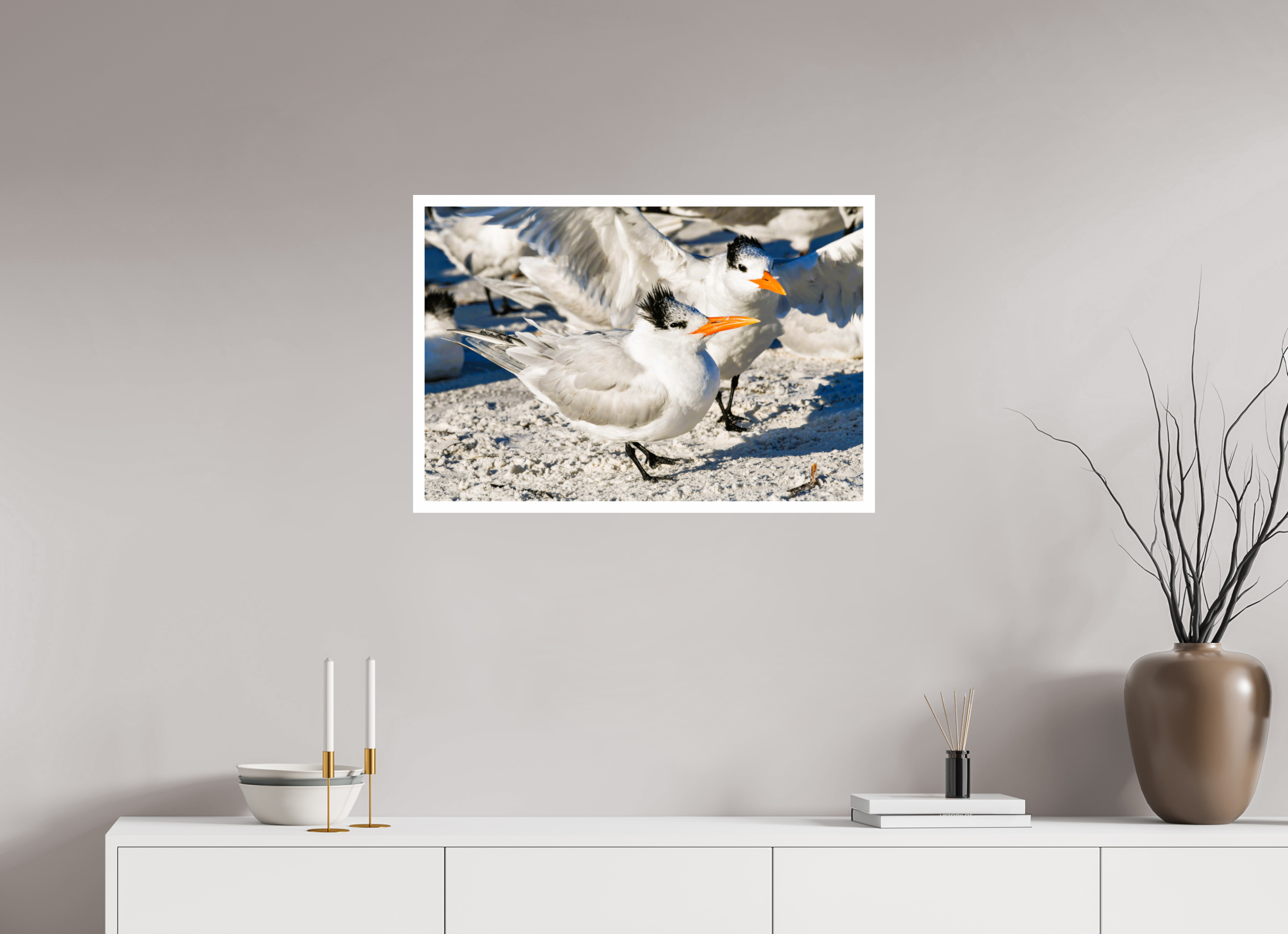29.8 x 20″, Hahnemühle FineArt Pearl Print, .79" white border Coastal Royalty