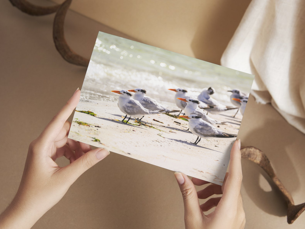 818a9a19-fcf9-48e5-9a30-1ecc3bdab67d