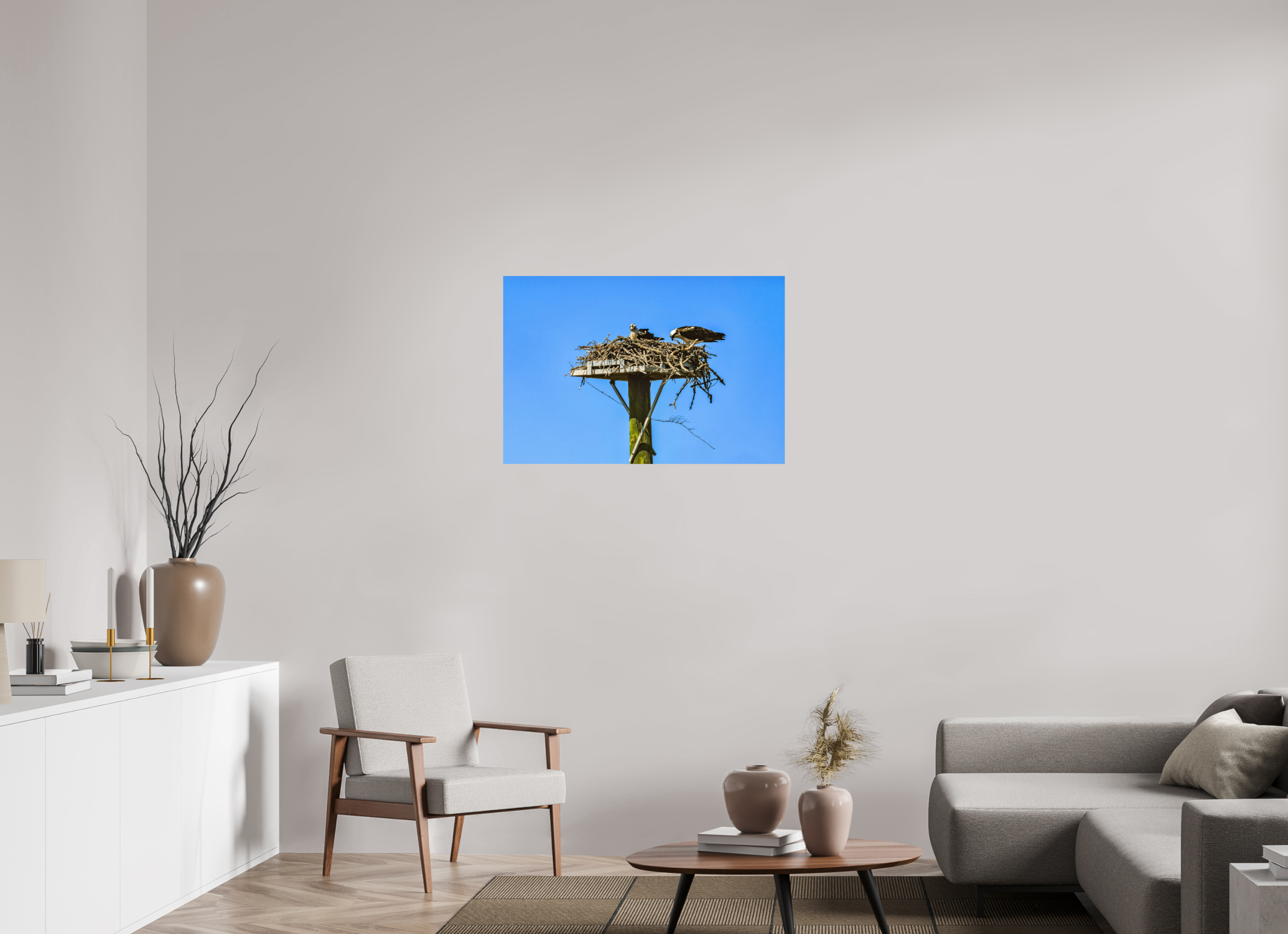 36 x 24″, Photo Print On Fuji Crystal DP II Osprey Outlook