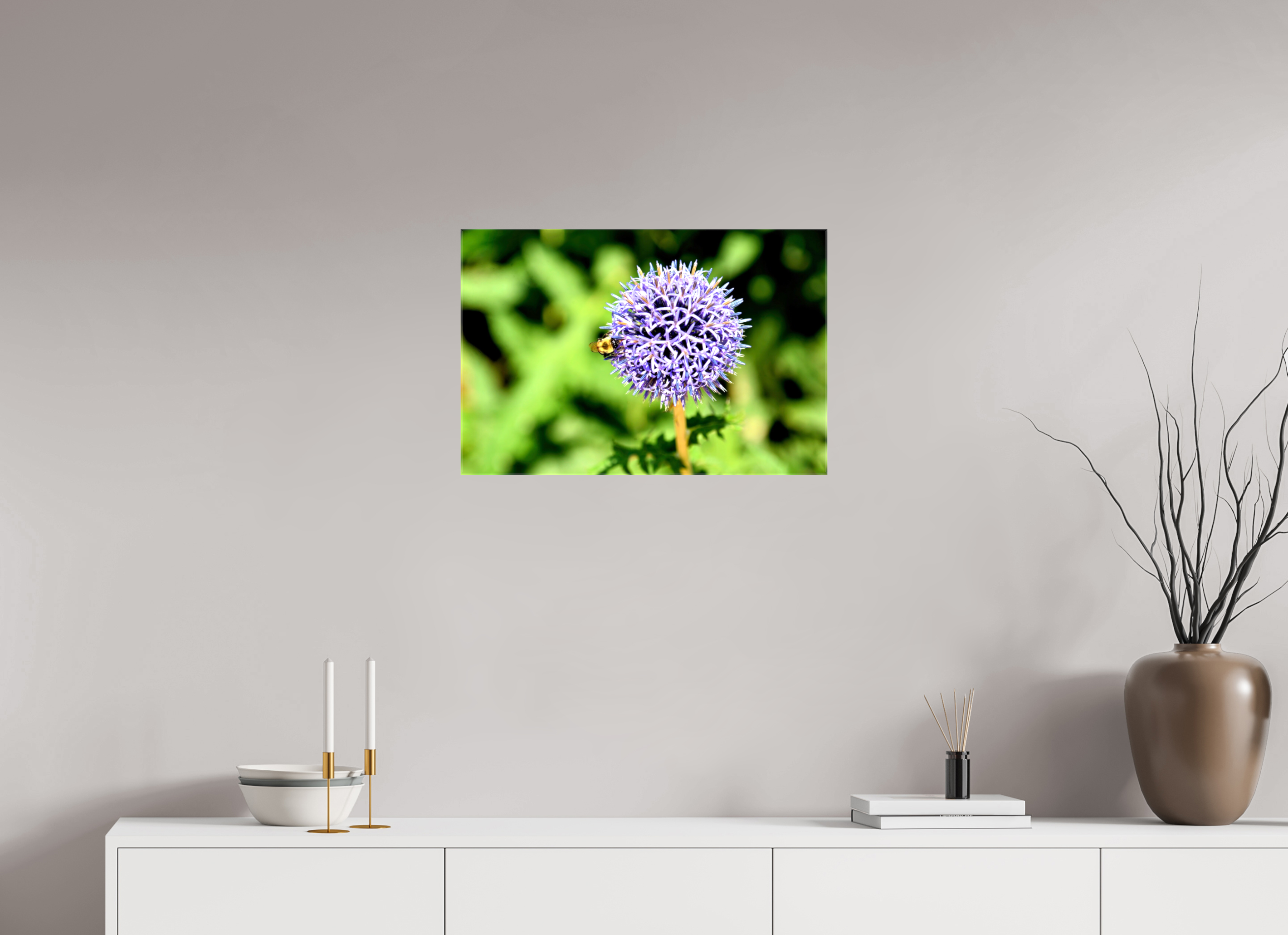 24 x 16″, Glossy Canvas on Stretcher Frame, 1,57" Wrapped The Bee & The Globe Thistle (Echinops)