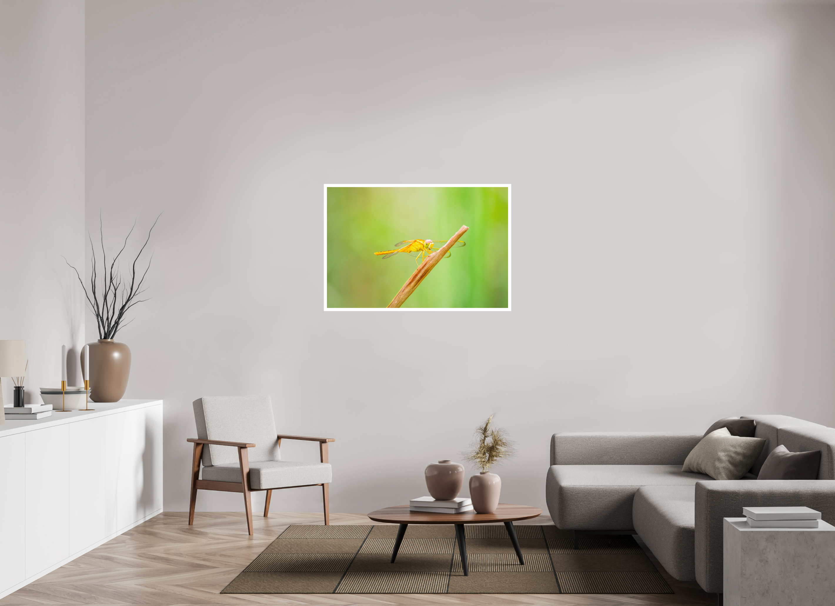 45 x 30″, Hahnemühle FineArt Pearl Print, .79" white border Sun-Drenched Golden Scarlet Skimmer