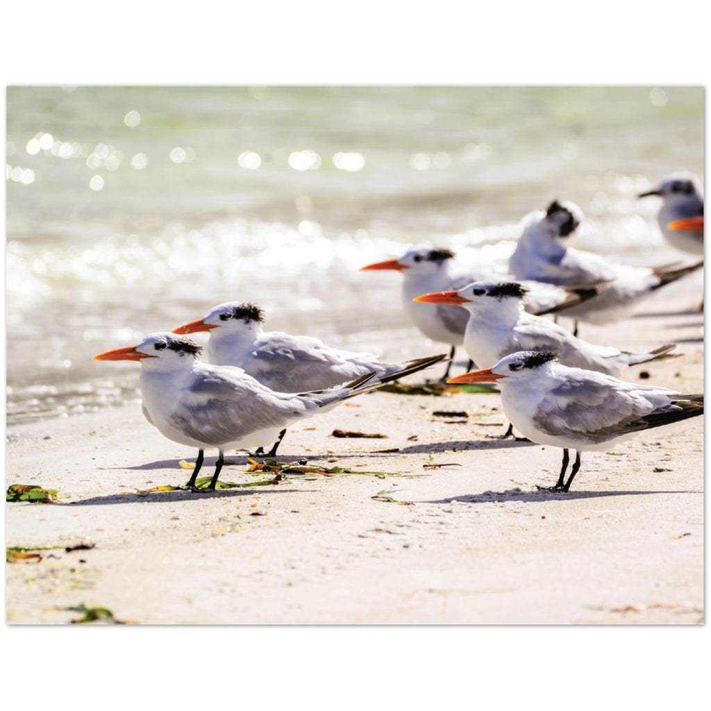 82dd0b5d-fb6d-4597-bd26-9721ec8d9d4d