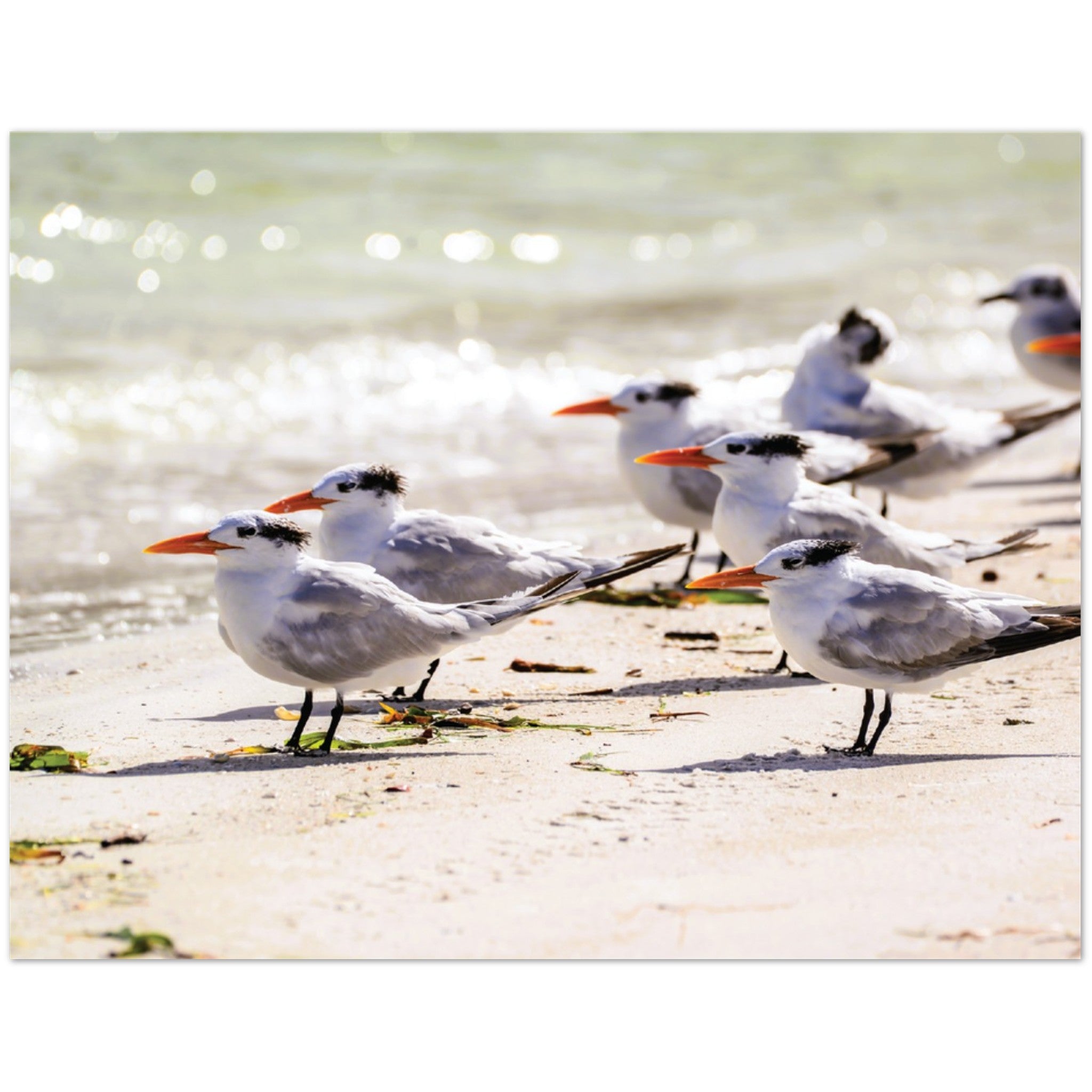 82dd0b5d-fb6d-4597-bd26-9721ec8d9d4d