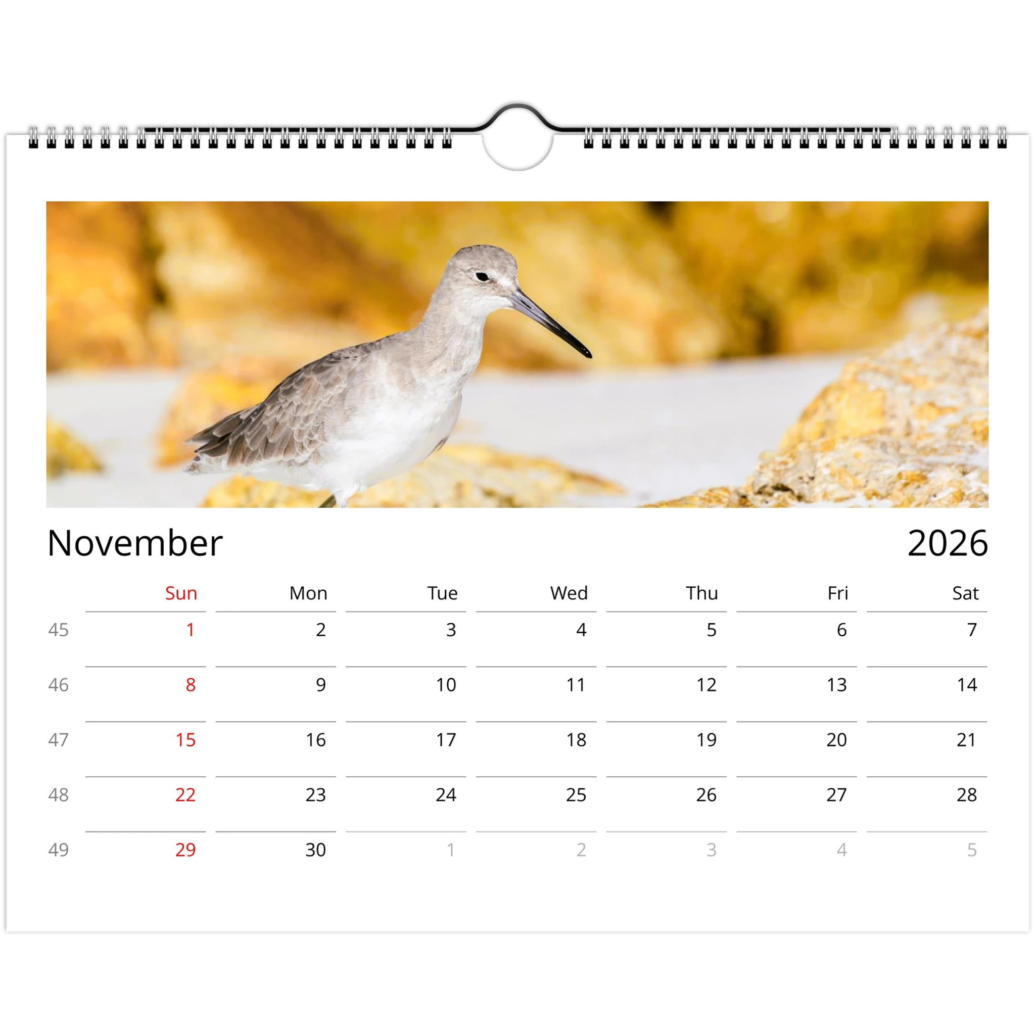 82f82aea-39a2-423d-b861-95e4acb8e18c