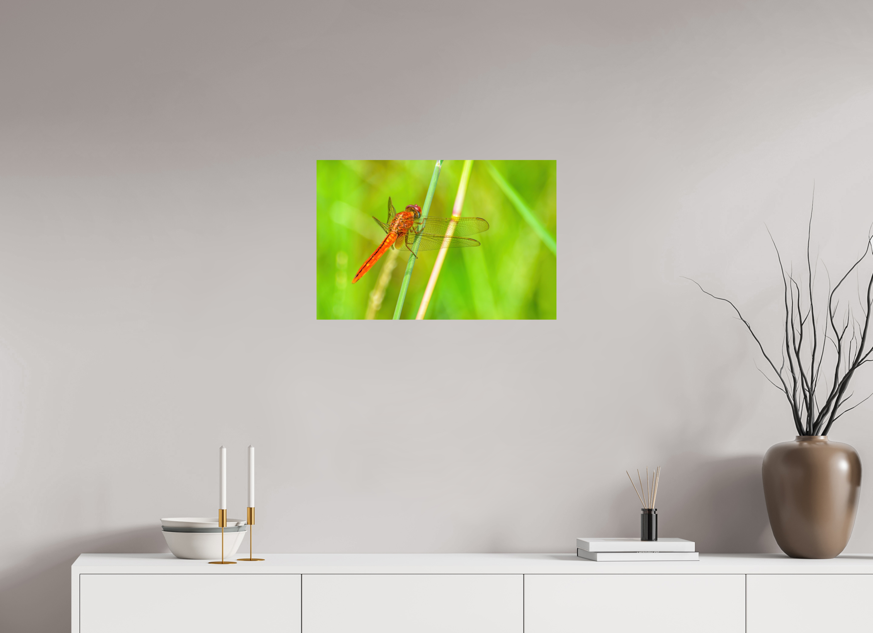24 x 16″, Photo Print On Fuji Crystal DP II Resting Scarlet Skimmer