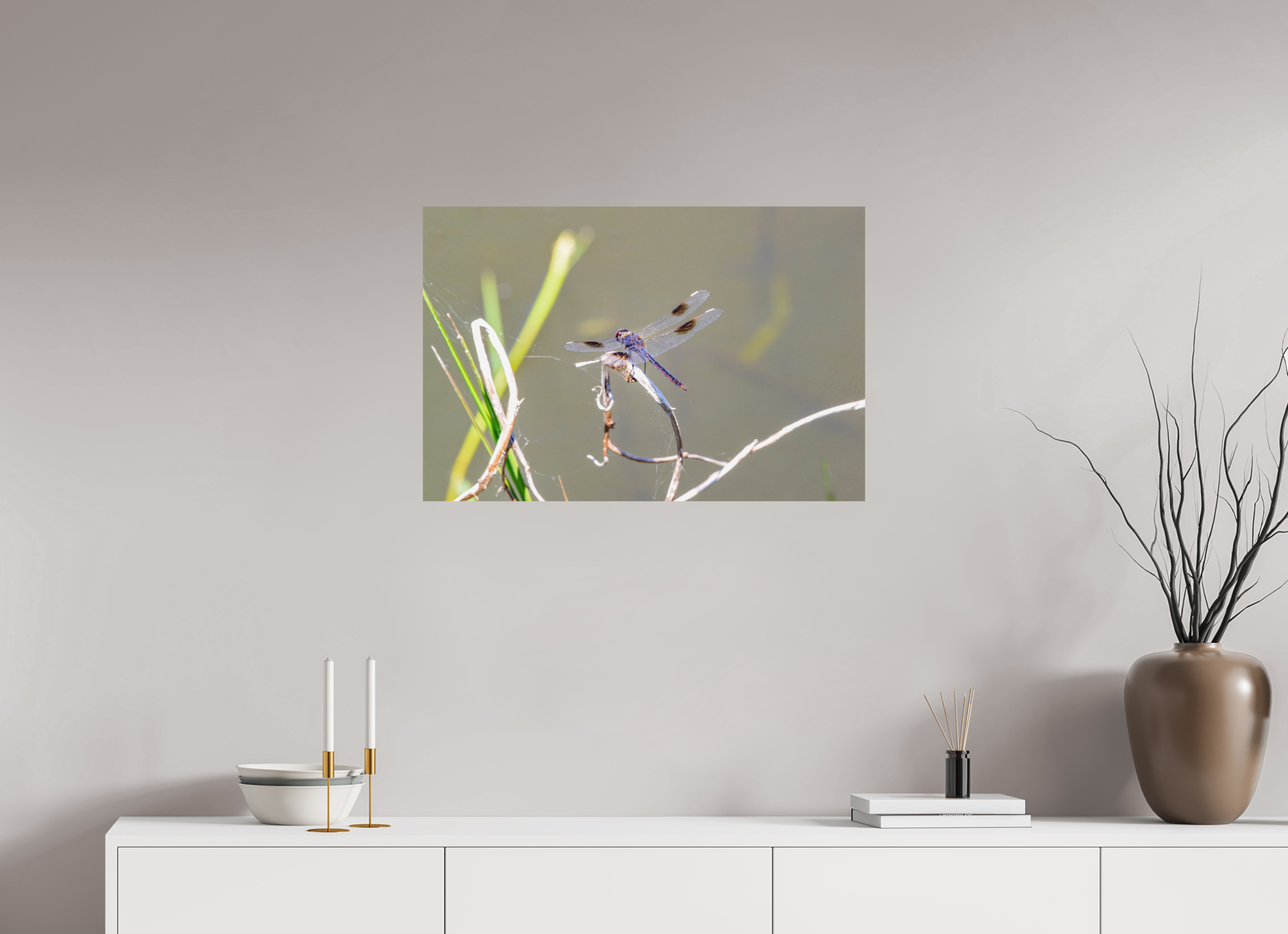 30 x 20″, Photo Print On Fuji Crystal DP II Pennant Dragonfly in the Marsh