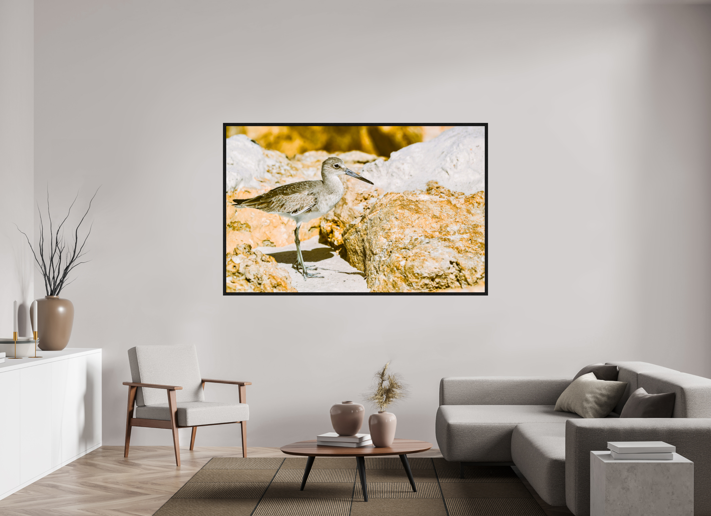 73.1 x 47″, Floater Frame The Sunny Willet