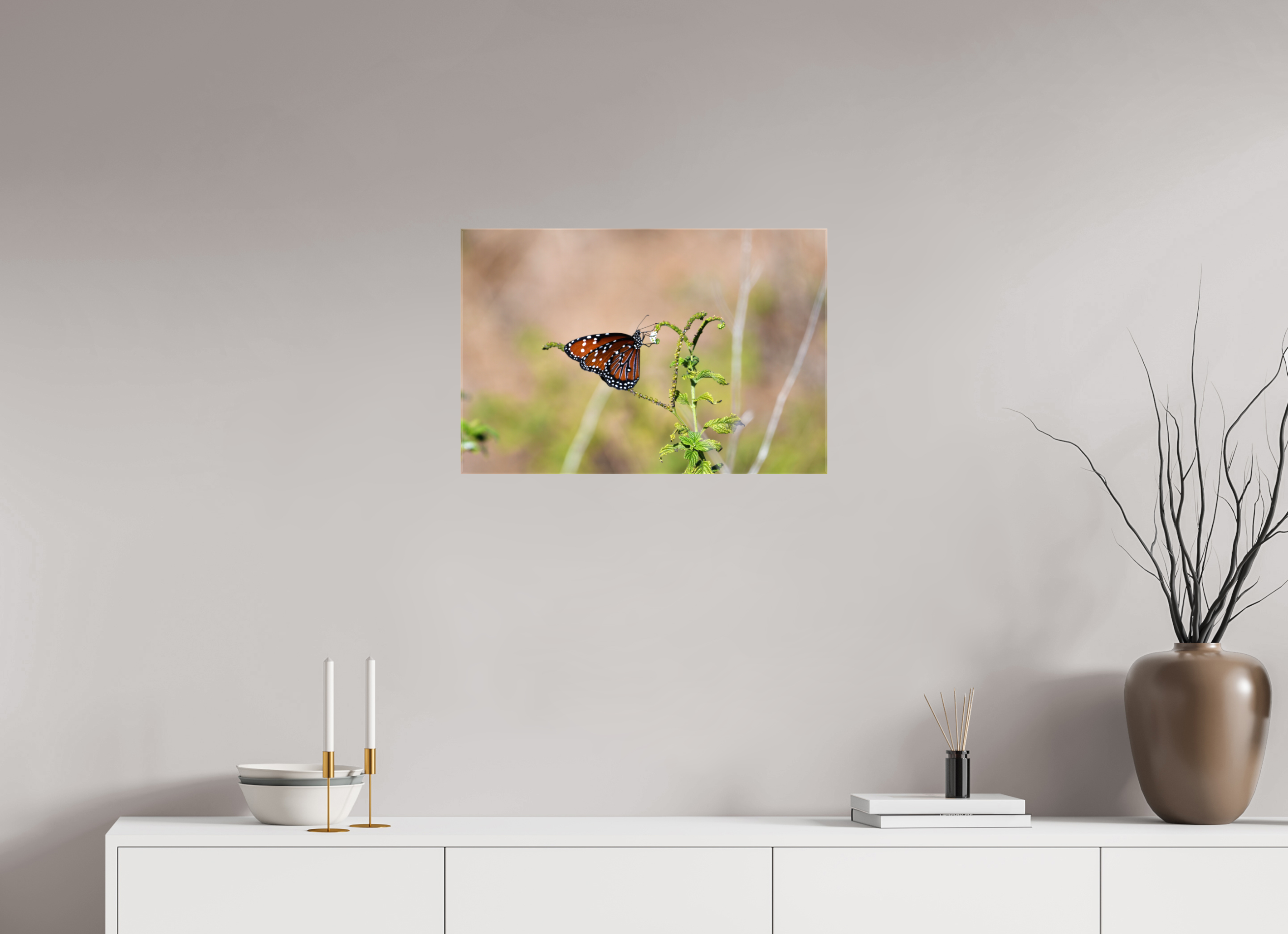 24 x 16″, Glossy Canvas on Stretcher Frame, 1,57" Wrapped Queen Butterfly