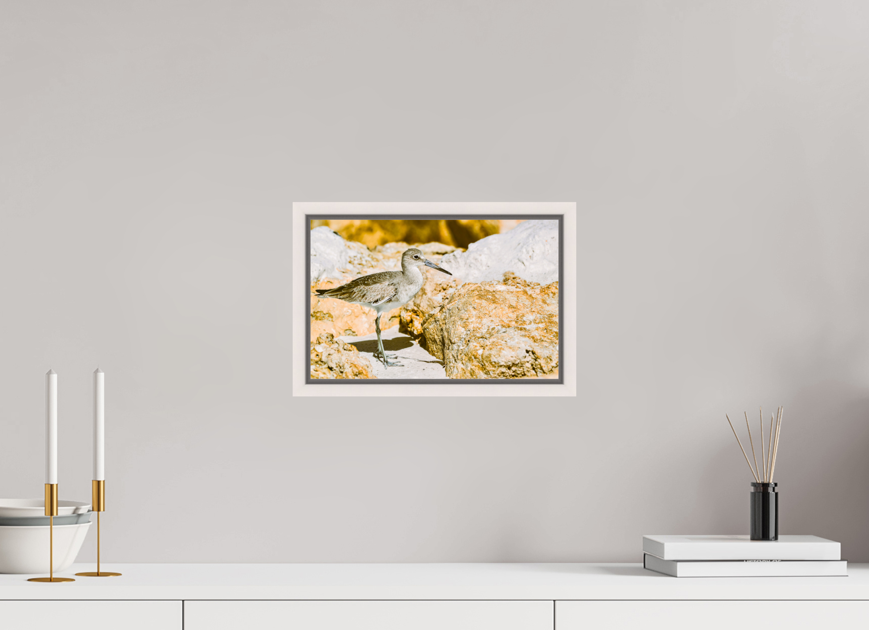 12.4 x 8″, Floater Frame, Basel 0.6", Maple White, Glossy Acrylic Glass The Sunny Willet