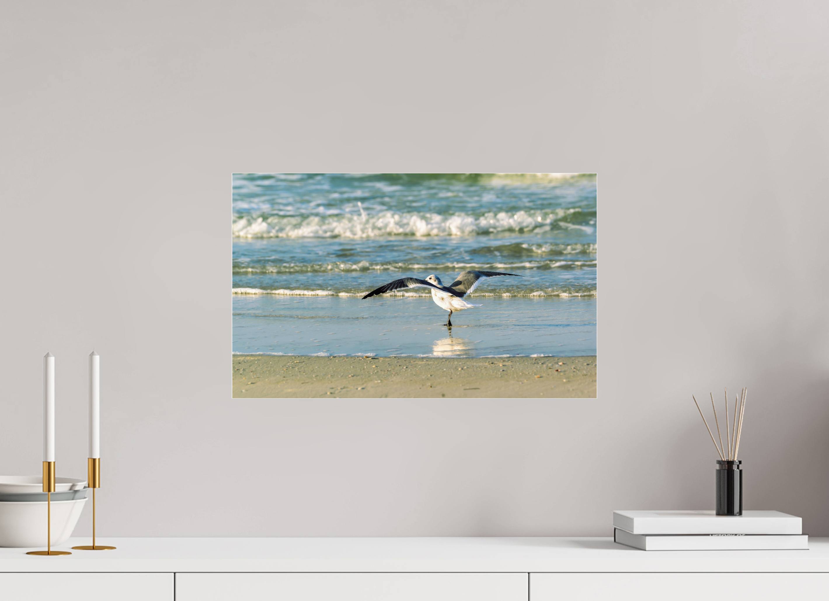 19.4 x 12″, Photo Print Under Acrylic Glass Laughing Gull in Motion